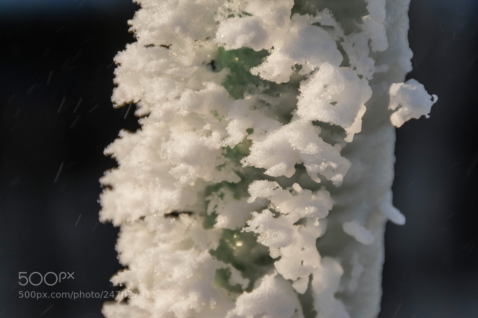 Sony ILCA-77M2 sample photo. Frozen water on a photography