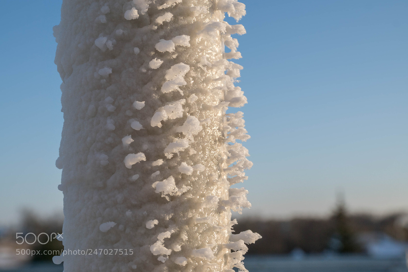 Sony ILCA-77M2 sample photo. Ice on a poll 2 photography