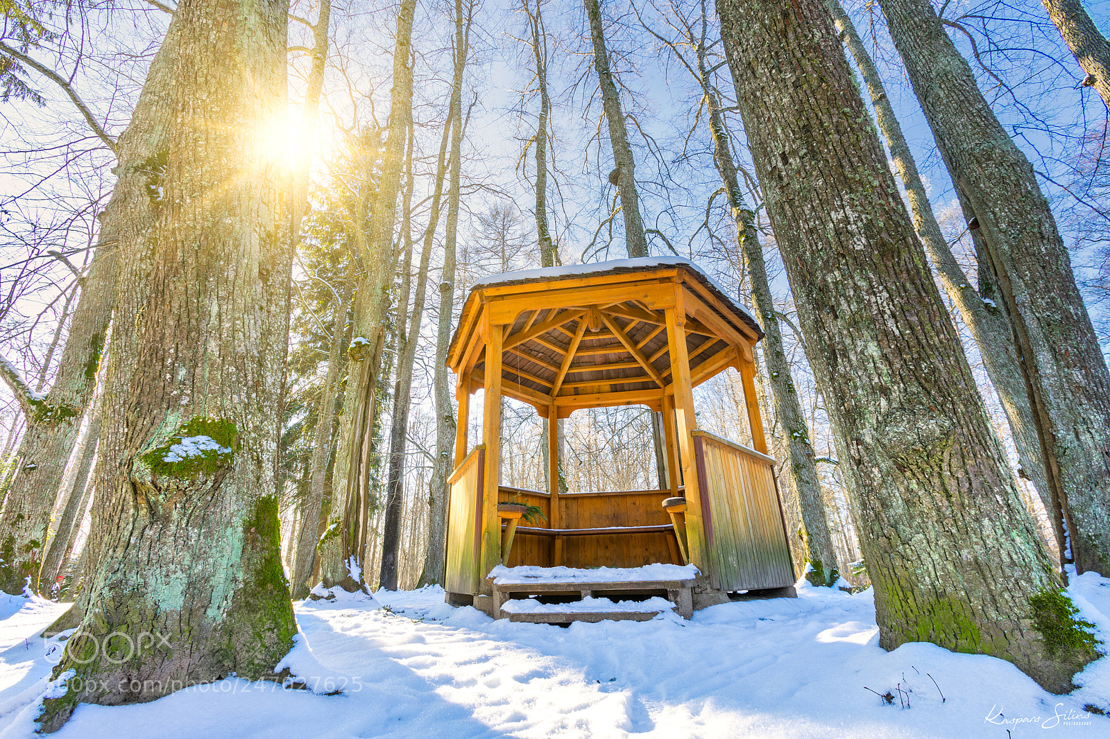 Sony a7 II sample photo. The hut photography