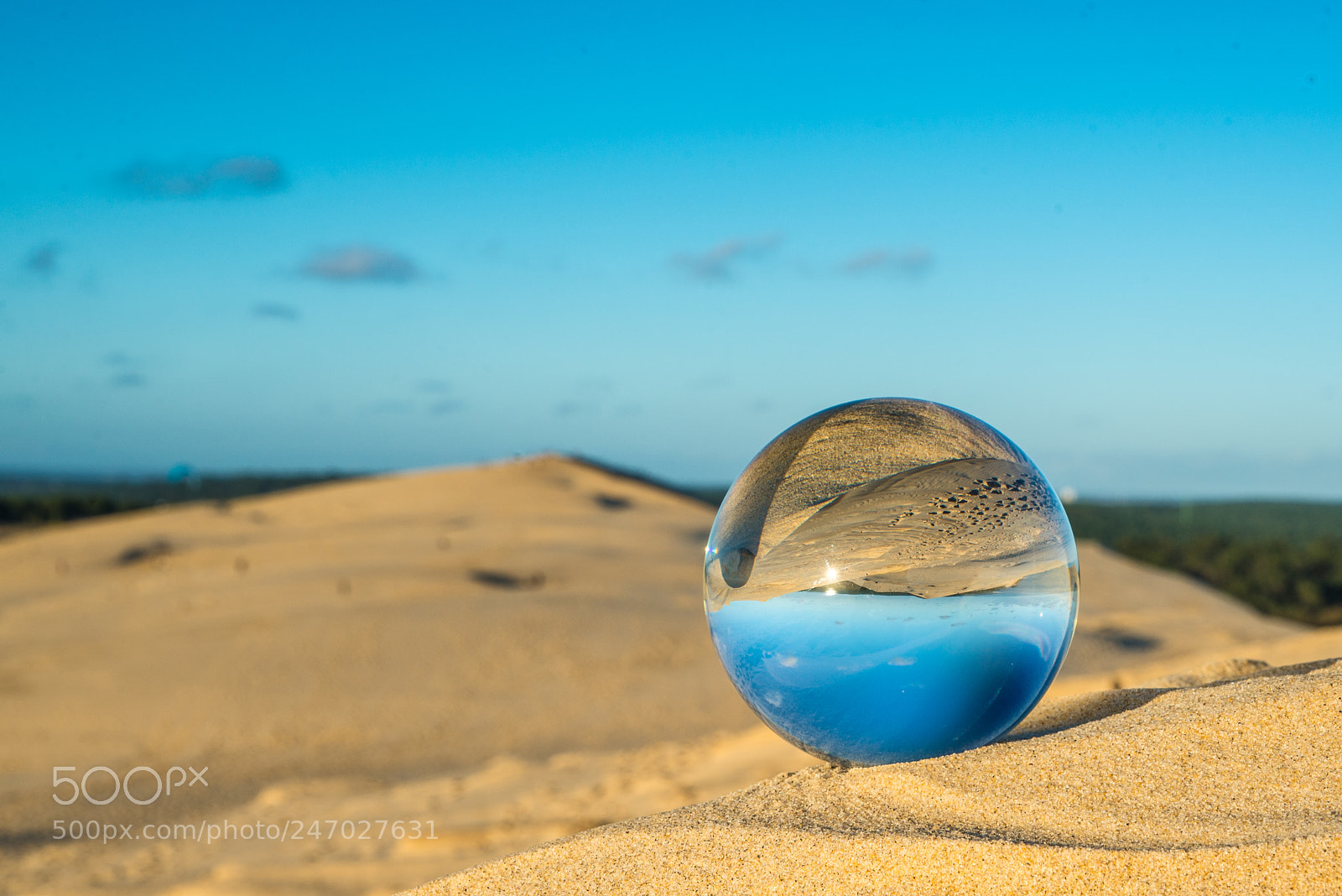 Nikon D610 sample photo. Dune du pyla photography