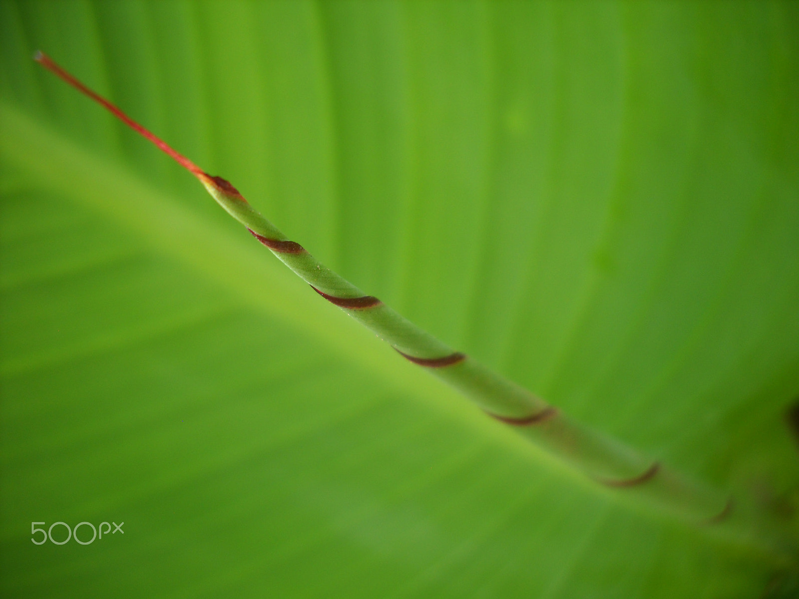 Nikon Coolpix L20 sample photo. Picture photography