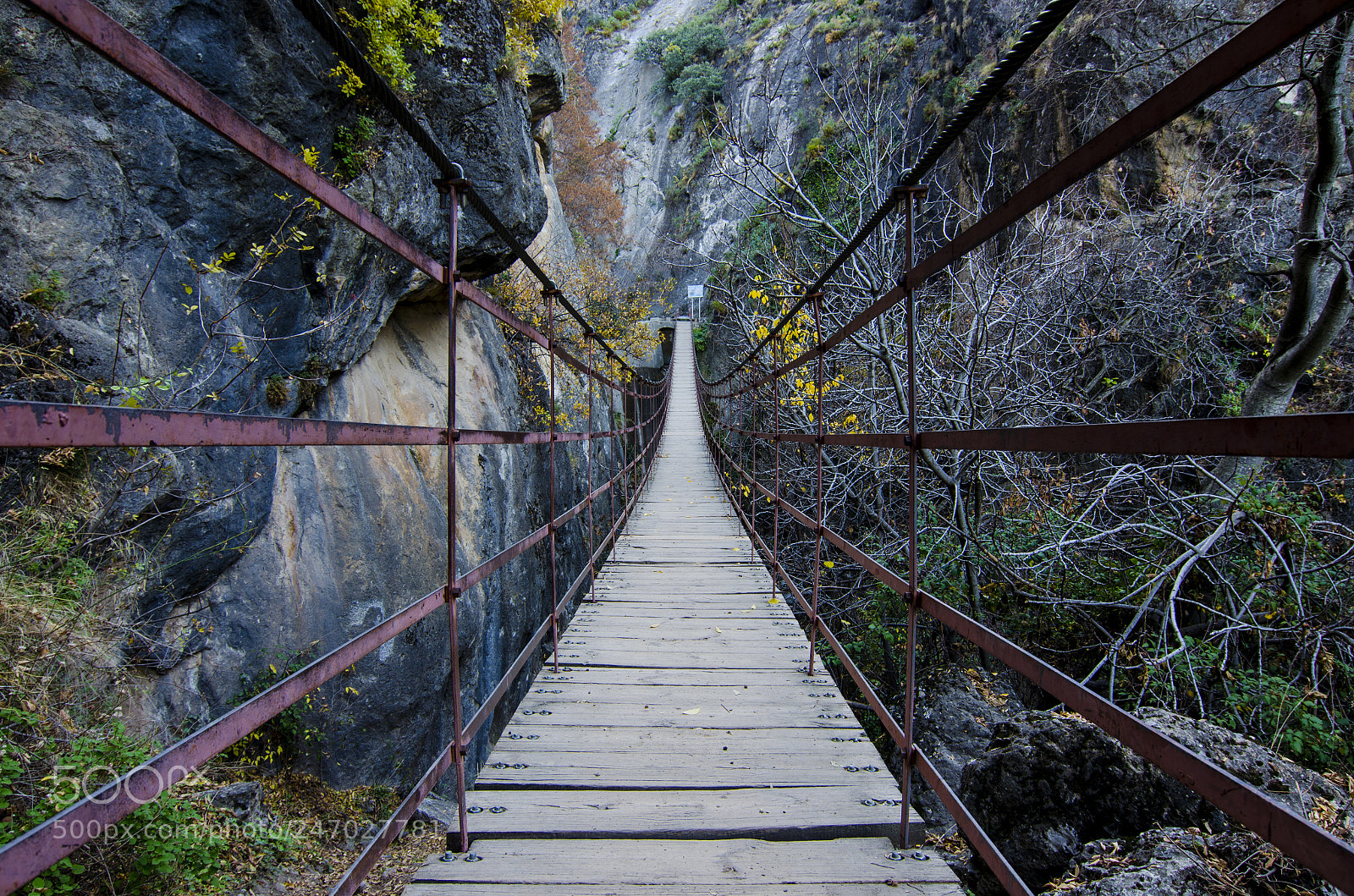 Nikon D5100 sample photo. Puente colgante de los photography