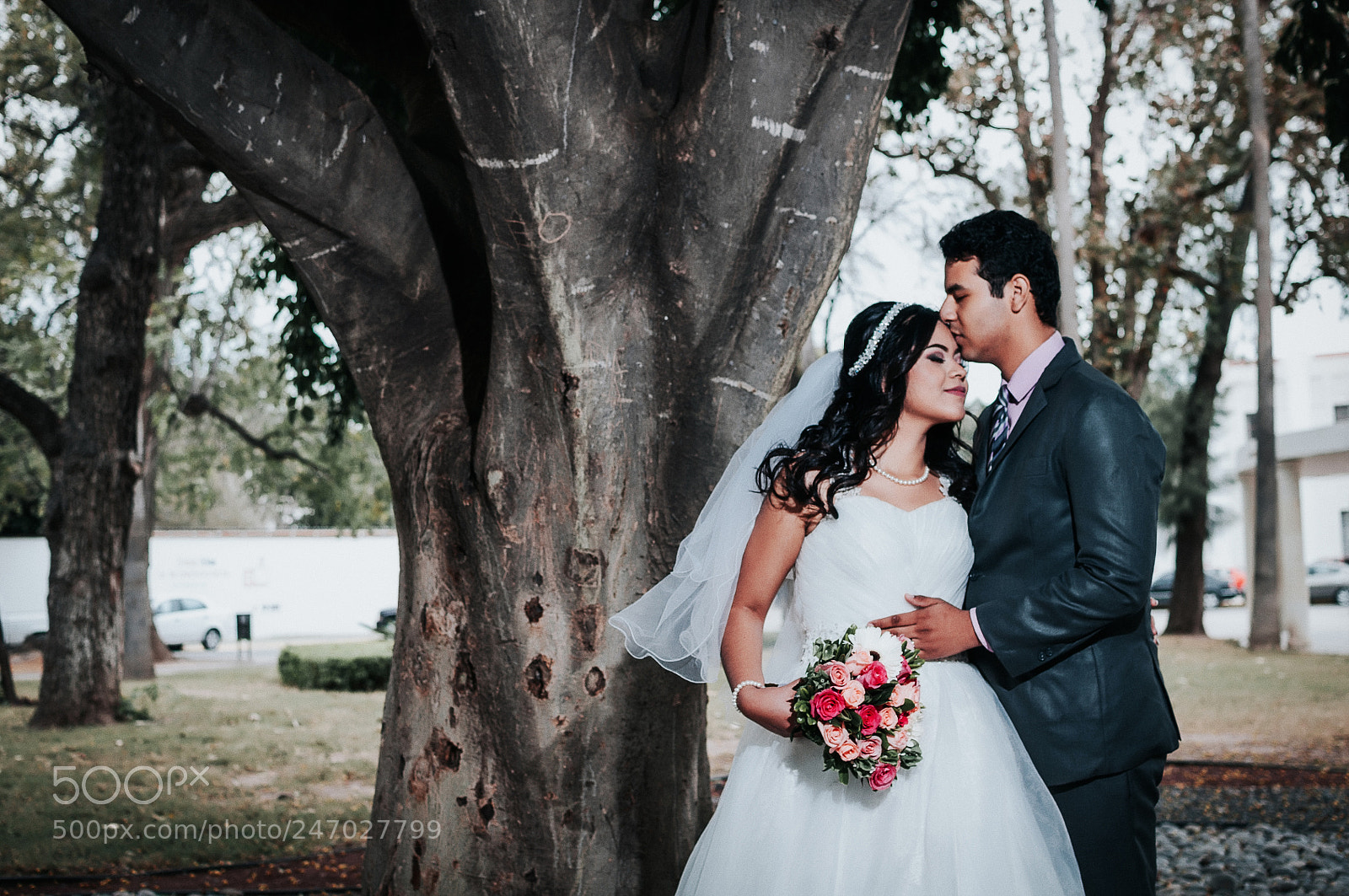 Nikon D5000 sample photo. L&h photography
