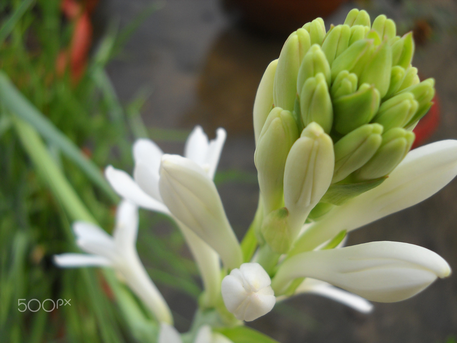 Nikon Coolpix L20 sample photo. Picture photography
