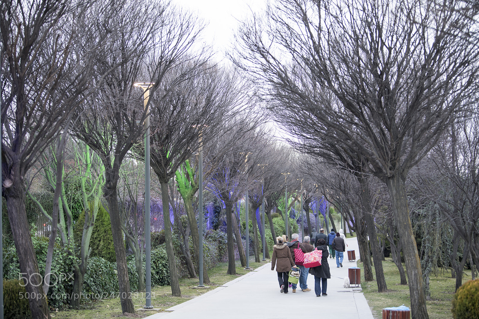 Nikon D850 sample photo. Walk way ankara goksu photography