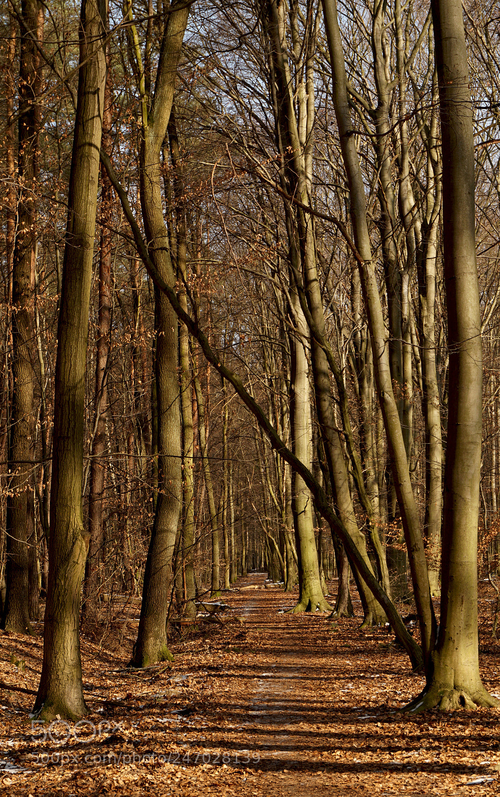Sony a5100 sample photo. X photography
