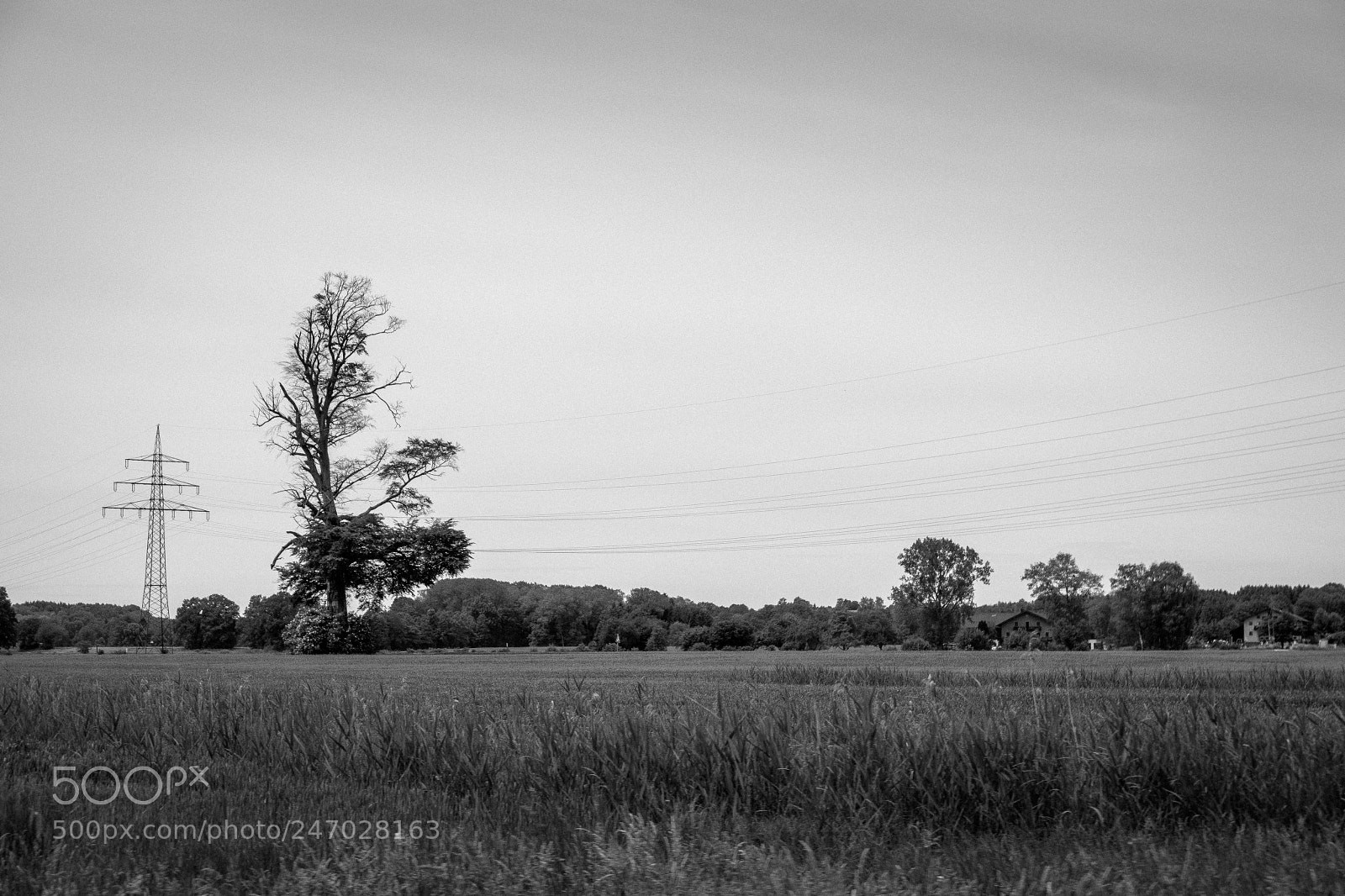 Samsung NX300 sample photo. Random bavarian landscapes photography