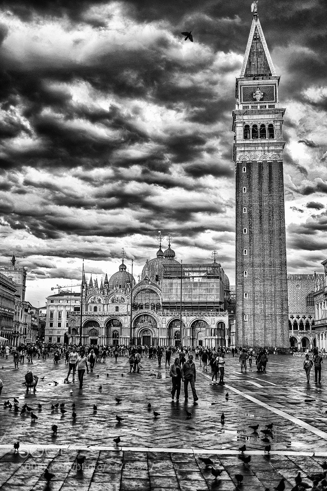 Fujifilm X-T1 sample photo. Venice after the rain photography