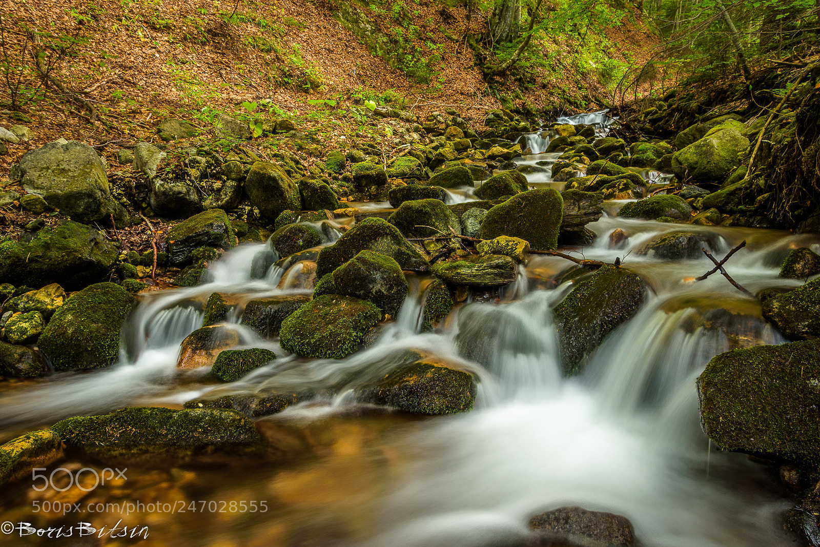 Nikon D7200 sample photo. Forest river photography