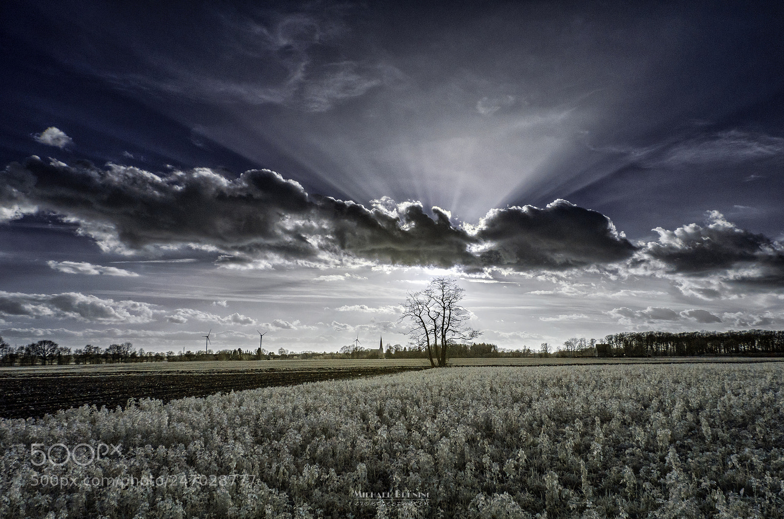 Nikon D5100 sample photo. Sunbeams photography