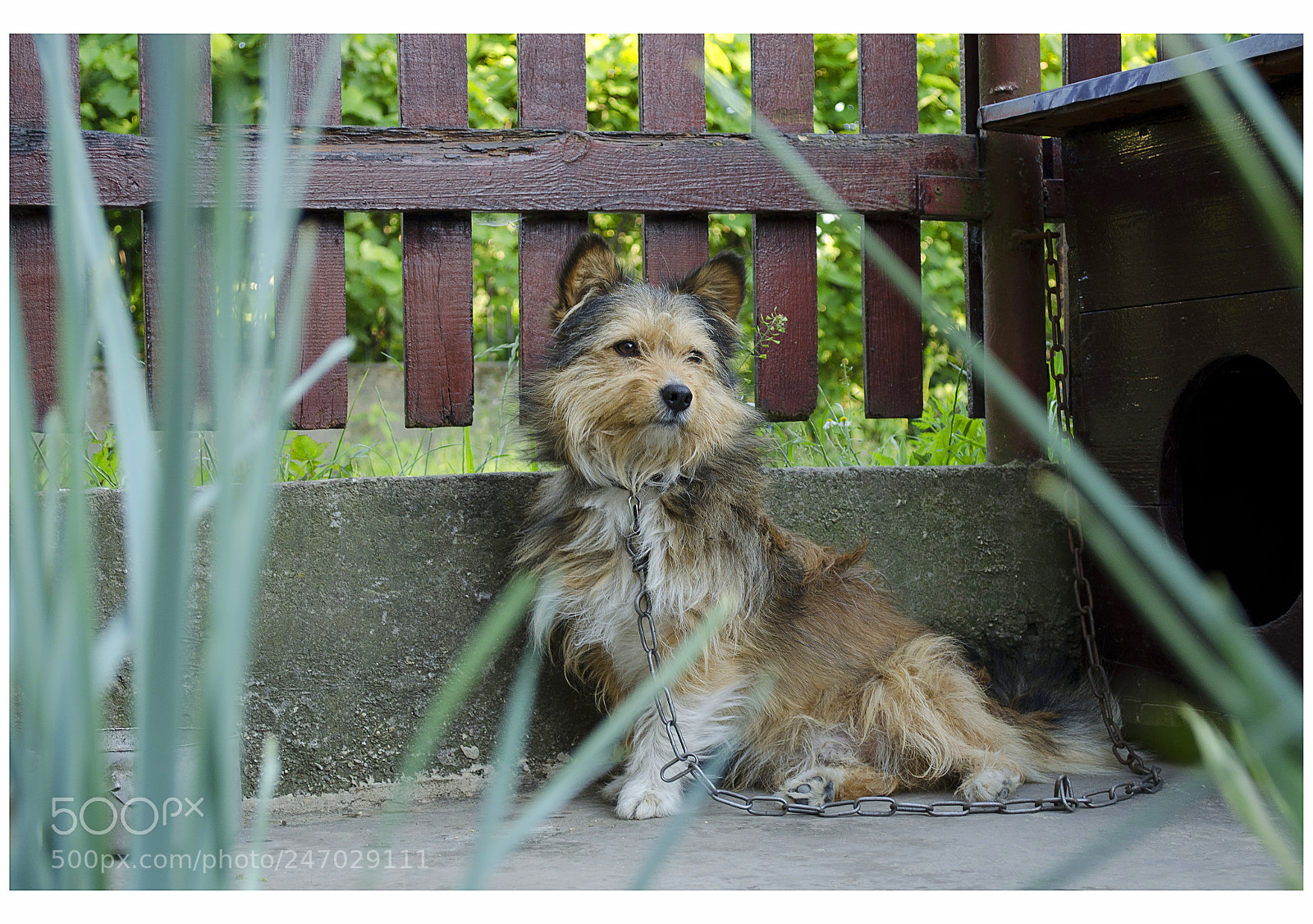 Nikon D5100 sample photo. Untitled photography