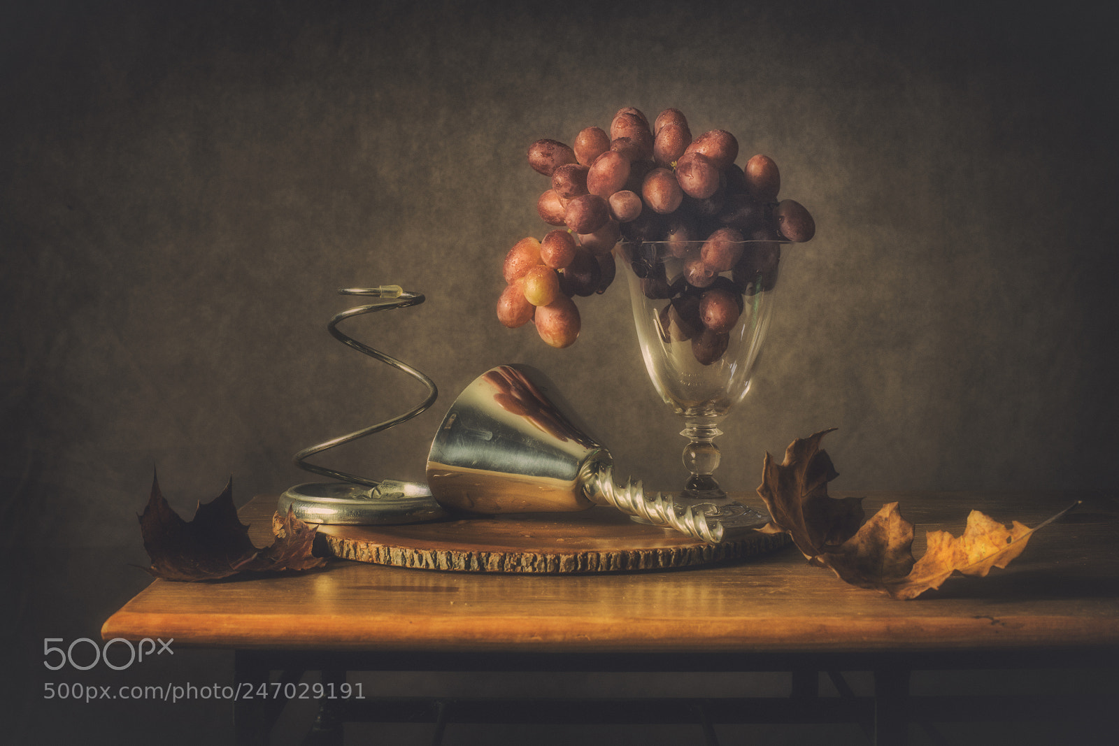 Nikon D850 sample photo. Still life grapes photography