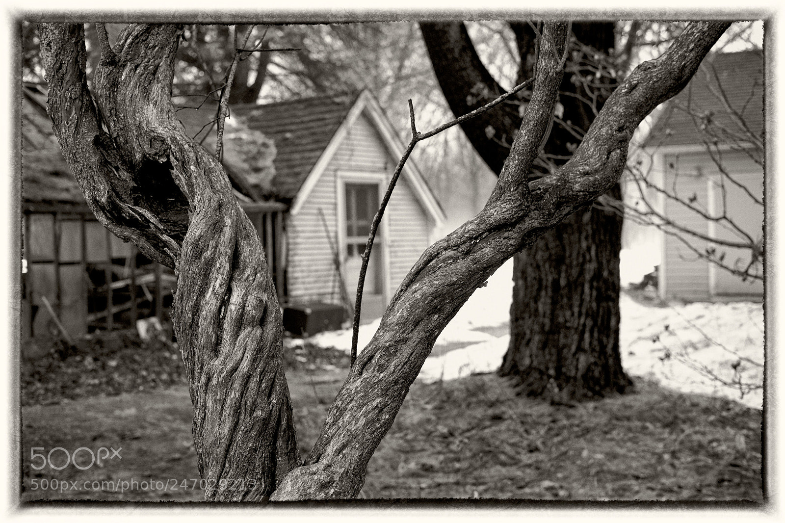 Fujifilm X-Pro2 sample photo. Witness to history photography