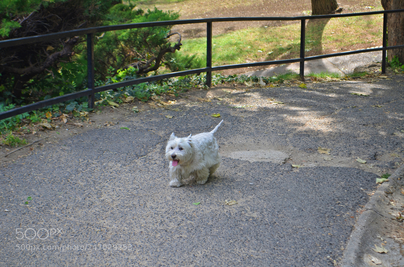 Nikon D5100 sample photo. Lucy photography