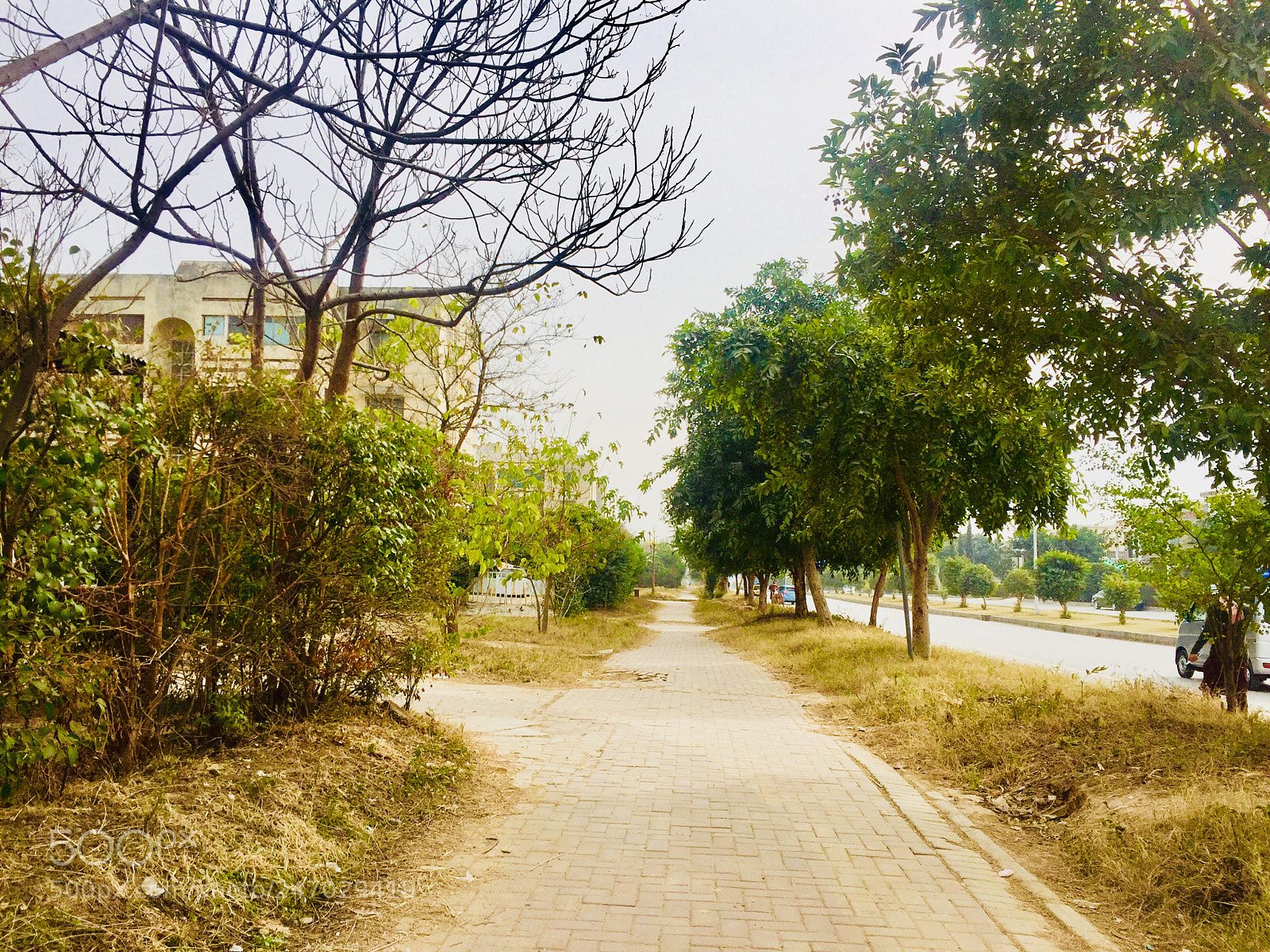 Apple iPhone 6 sample photo. Untitled photography