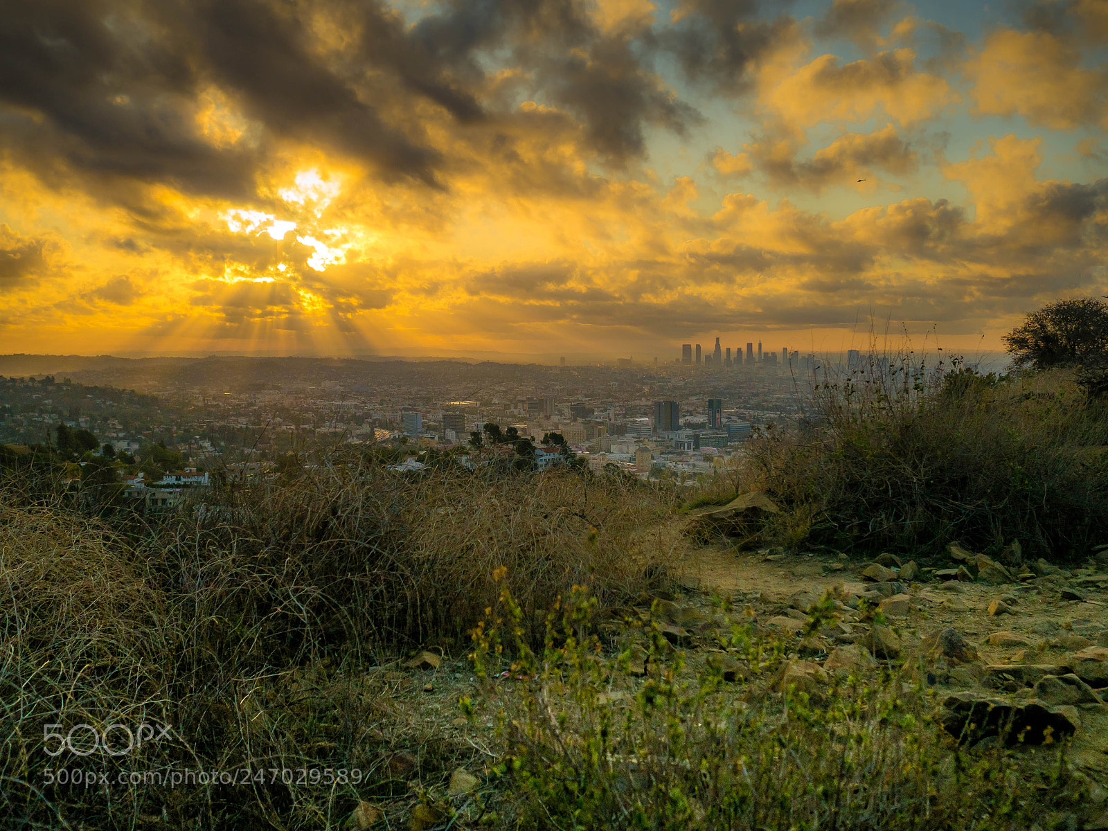 Olympus OM-D E-M5 II sample photo. Just another l.a. sunrise photography