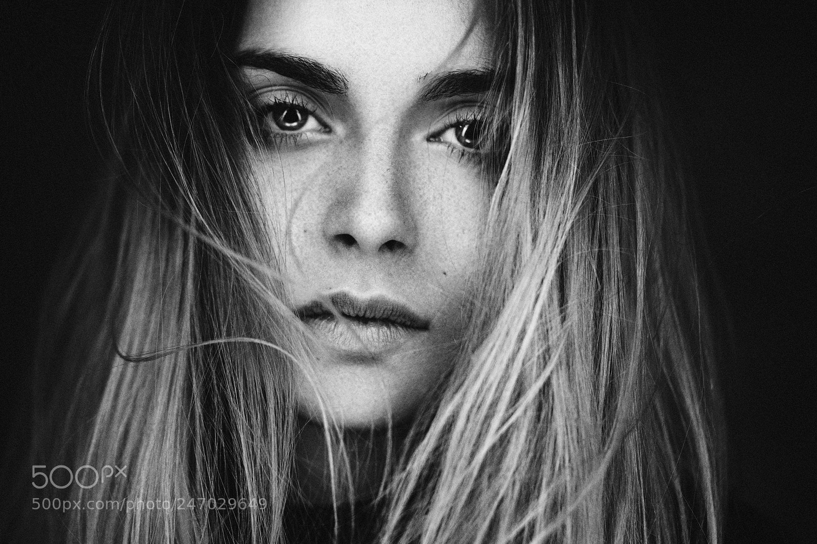 Sony a7R II sample photo. Charline photography