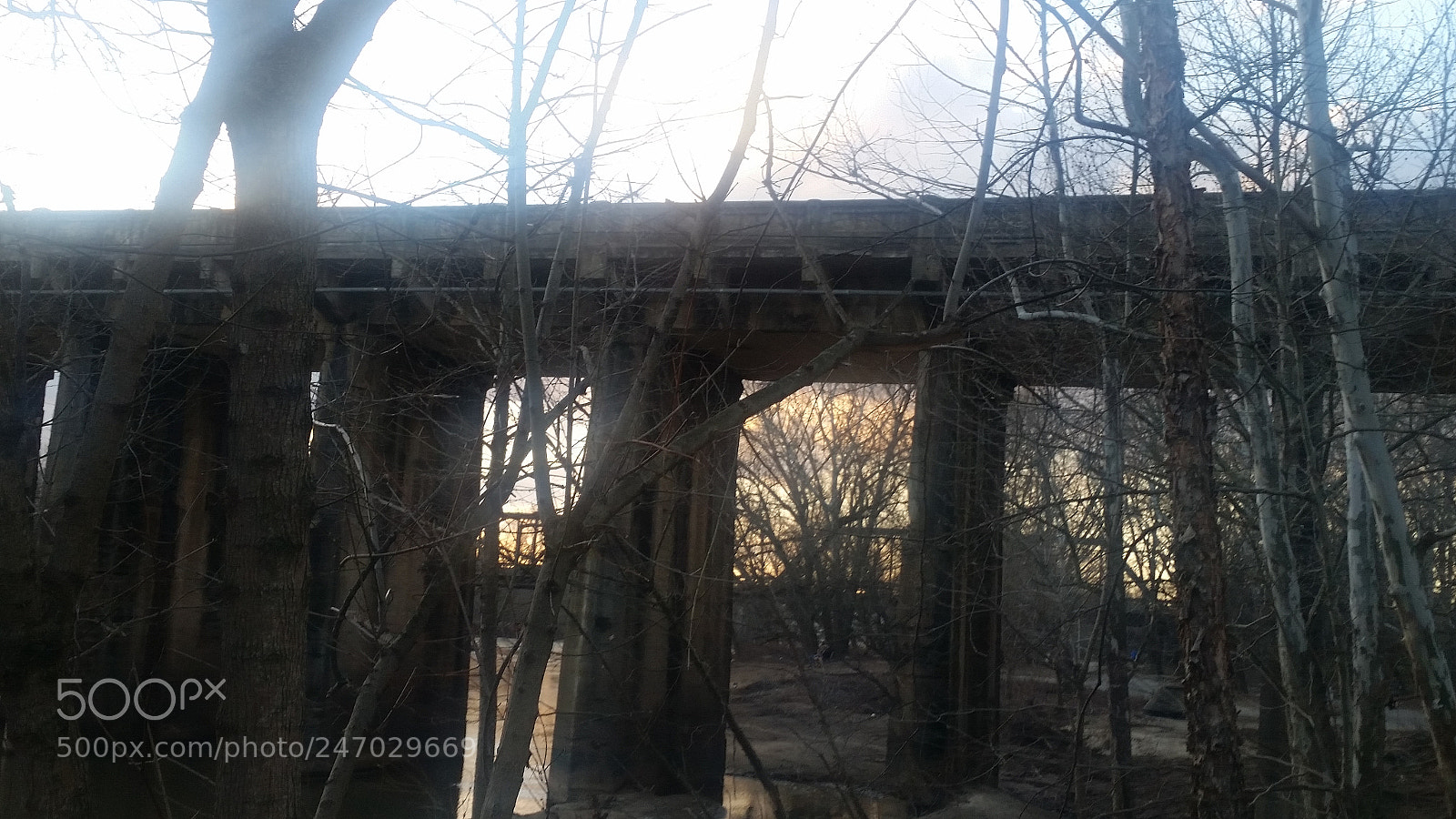 Samsung Galaxy S5 sample photo. Untitled photography