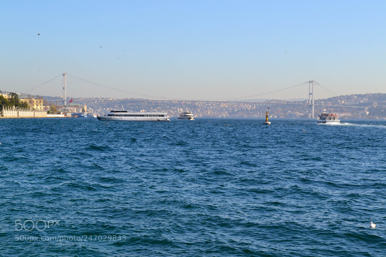 Nikon D3100 sample photo. Sea of marmara photography