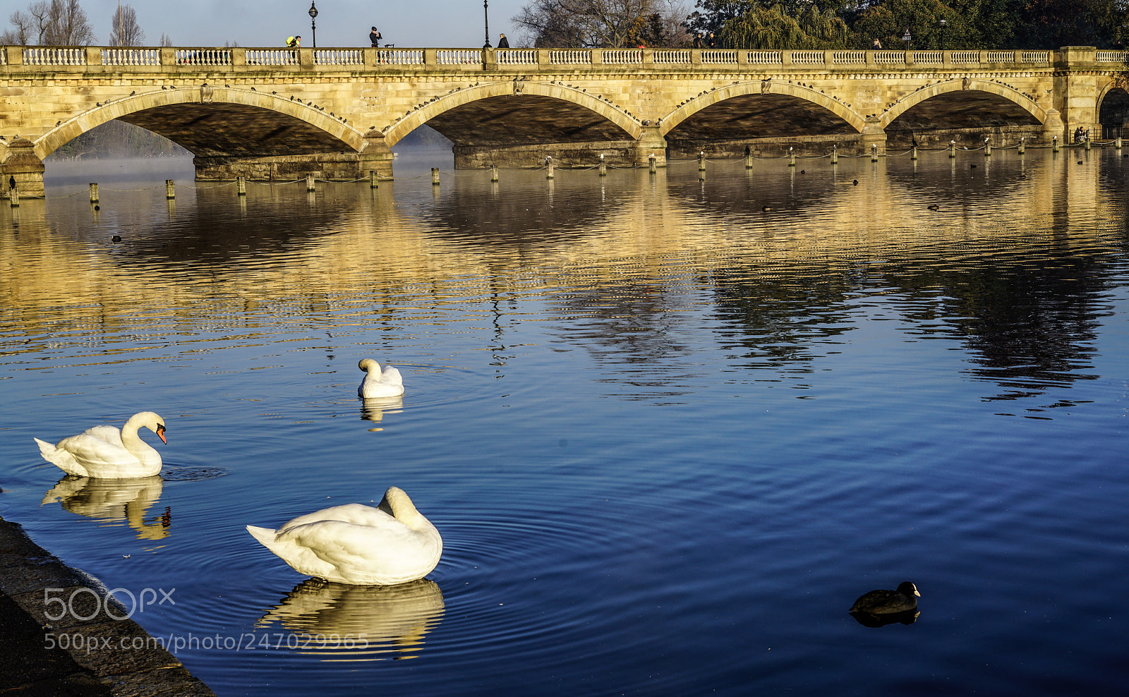 Sony a7R II sample photo. Reflections photography