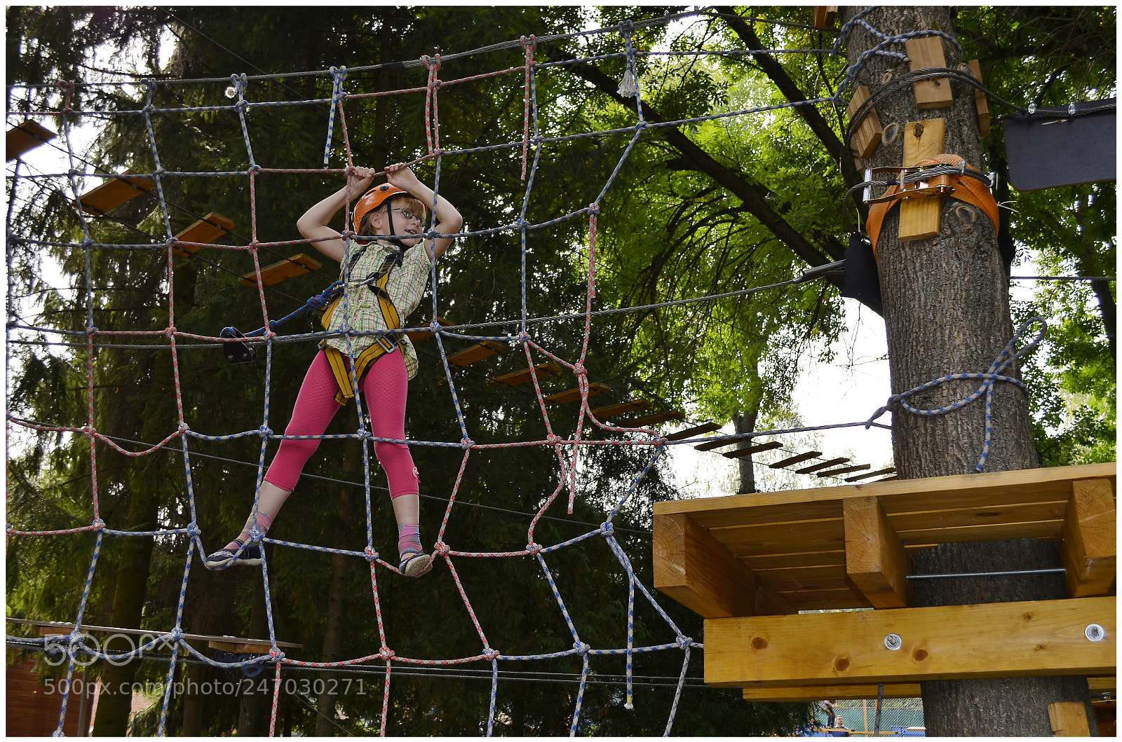 Nikon D5100 sample photo. Untitled photography