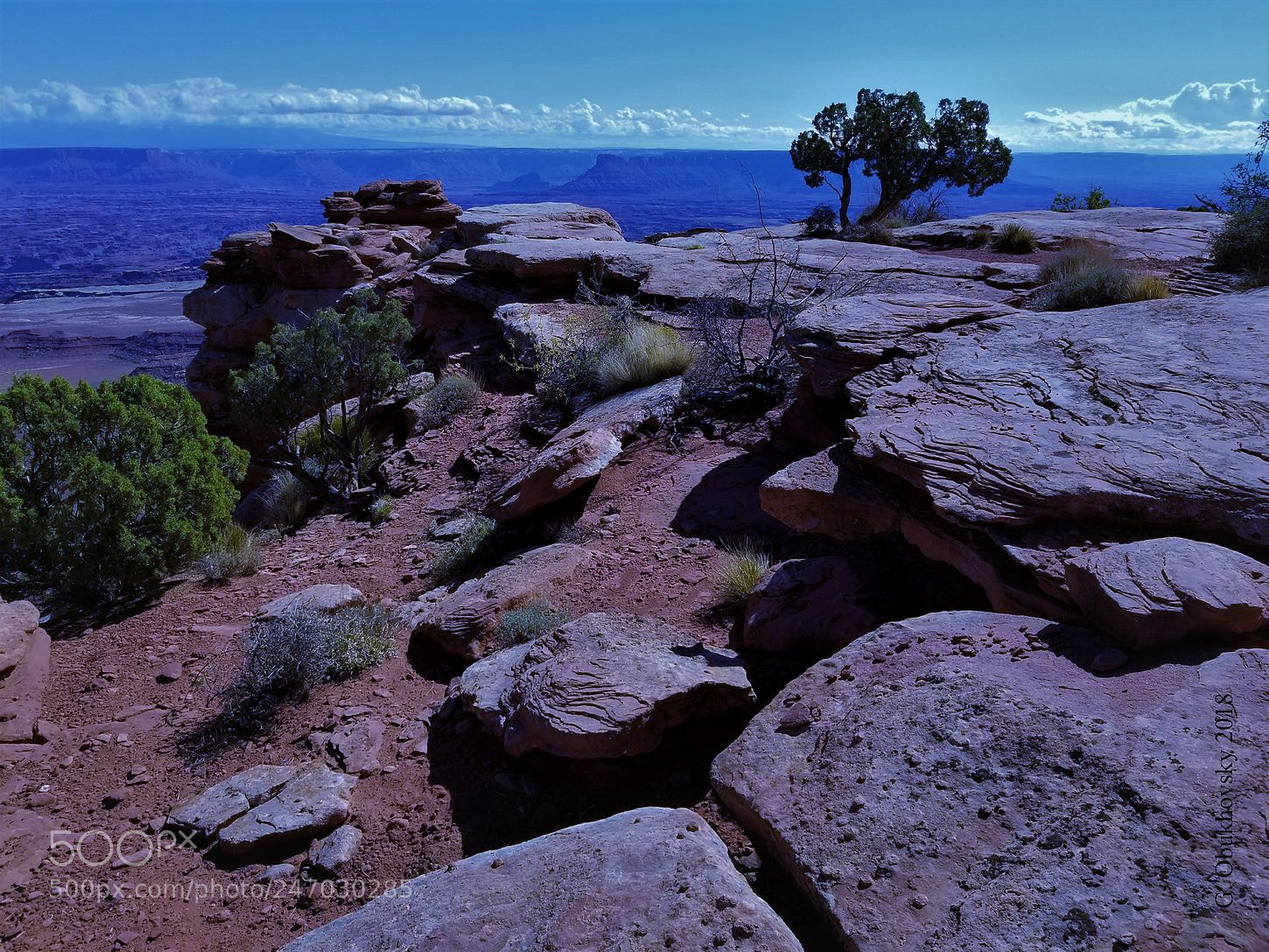 Samsung Galaxy S8 sample photo. The needles (canyonlands), utah photography