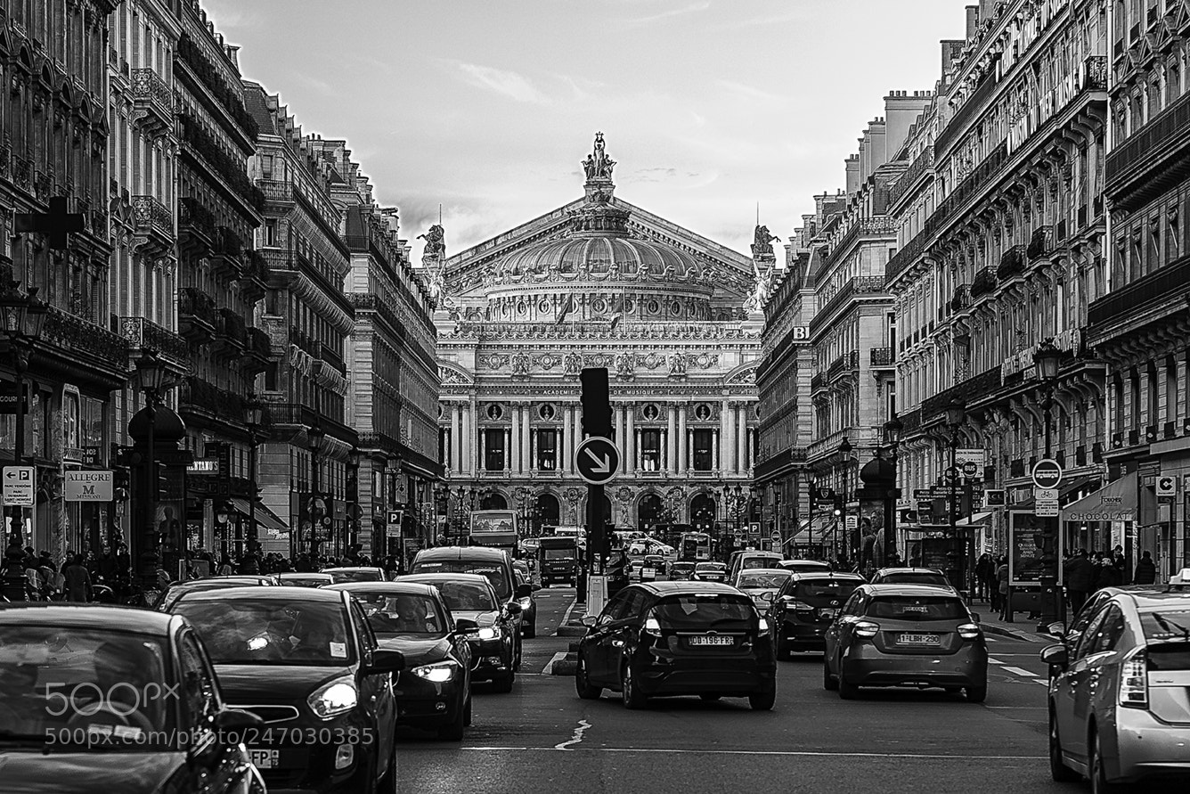 Nikon D5 sample photo. Avenue de l'opéra photography
