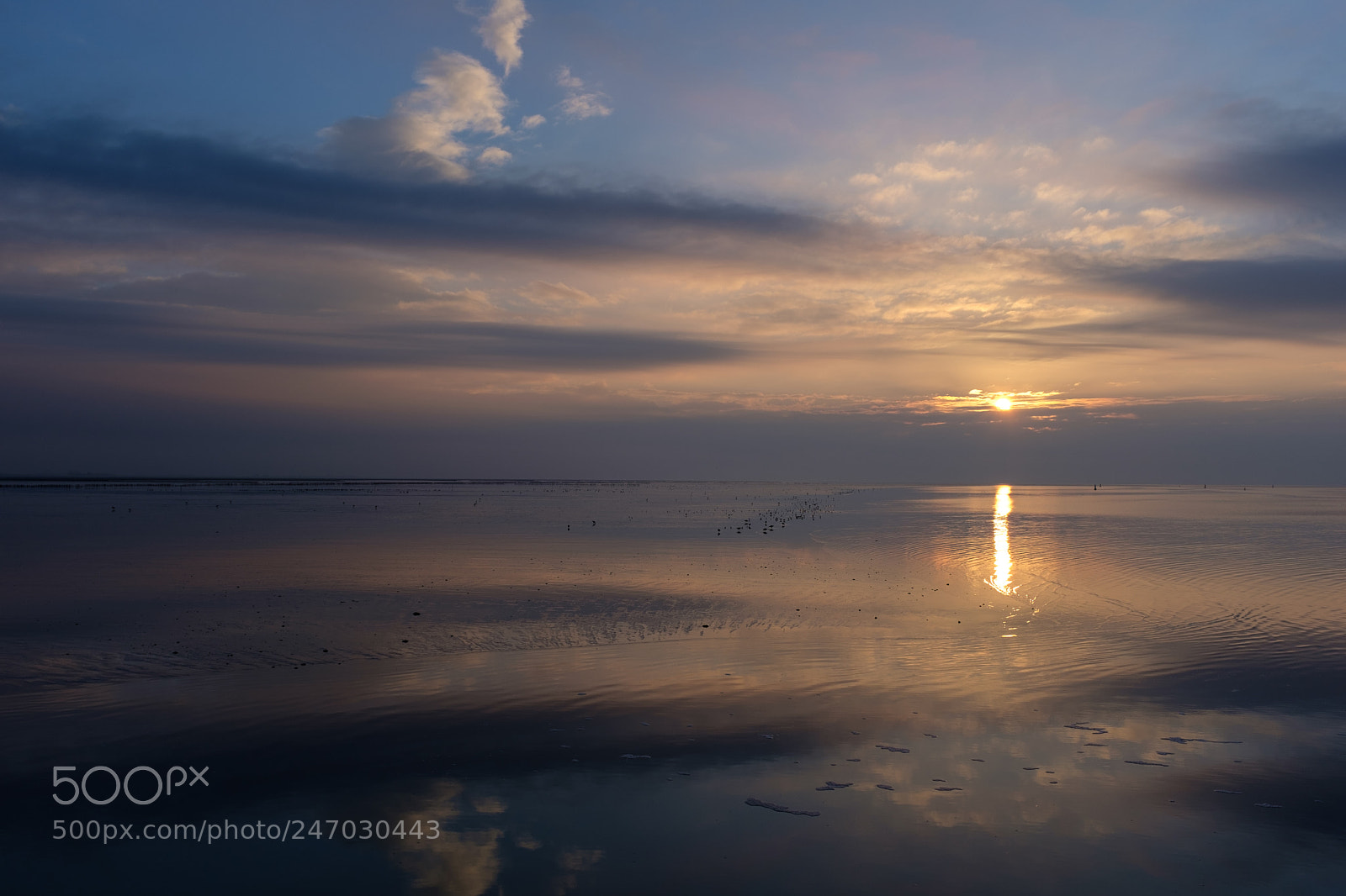 Fujifilm X100F sample photo. Waddensea photography