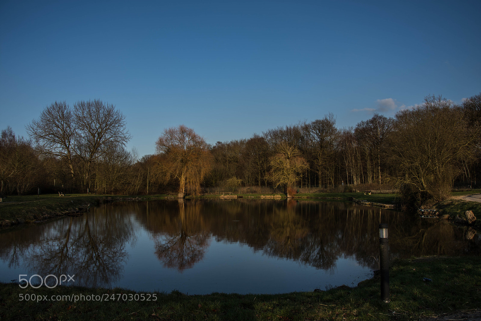 Nikon D7200 sample photo. Etang rhs photography