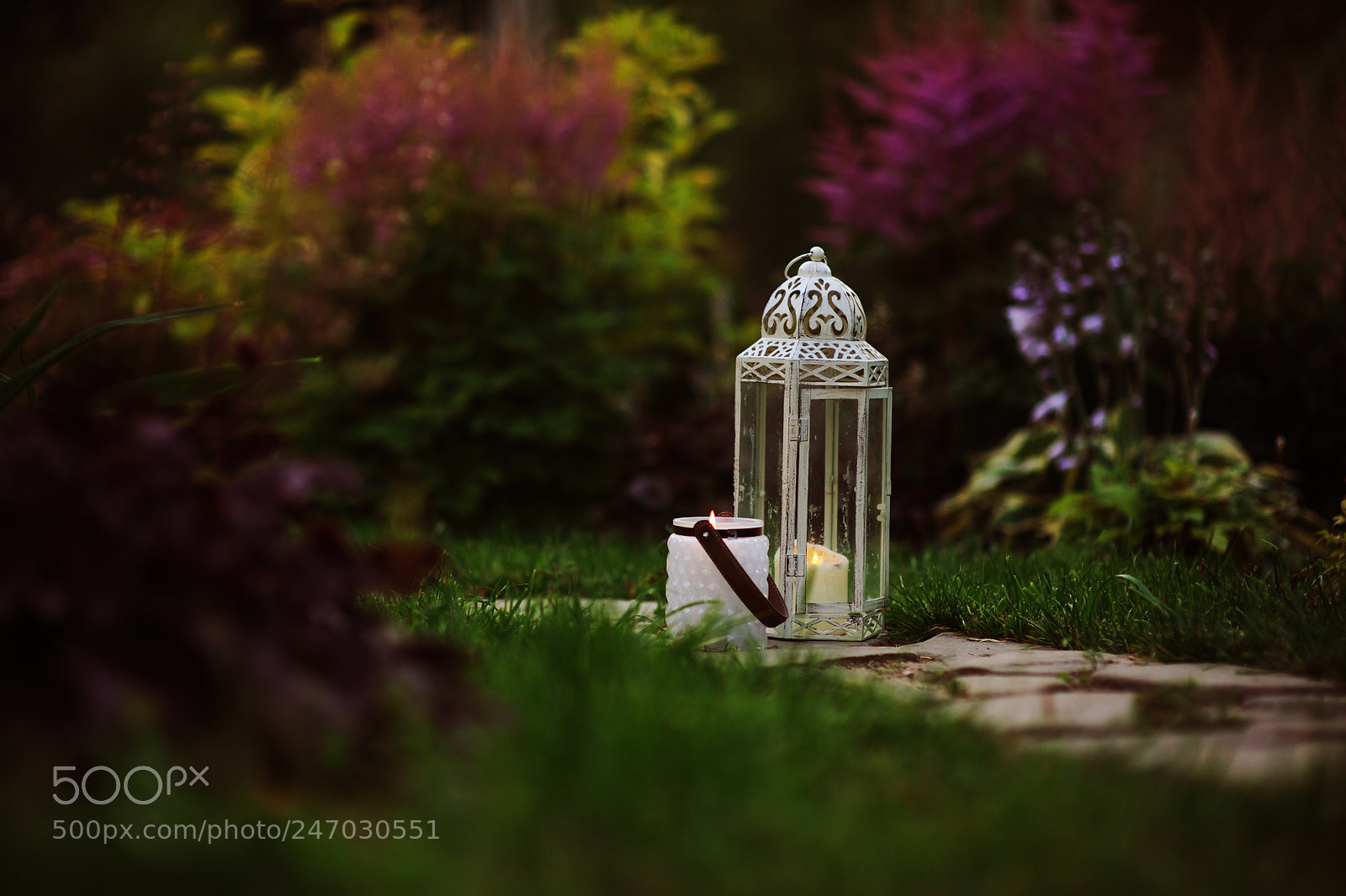 Nikon D700 sample photo. Cozy evening garden scene photography