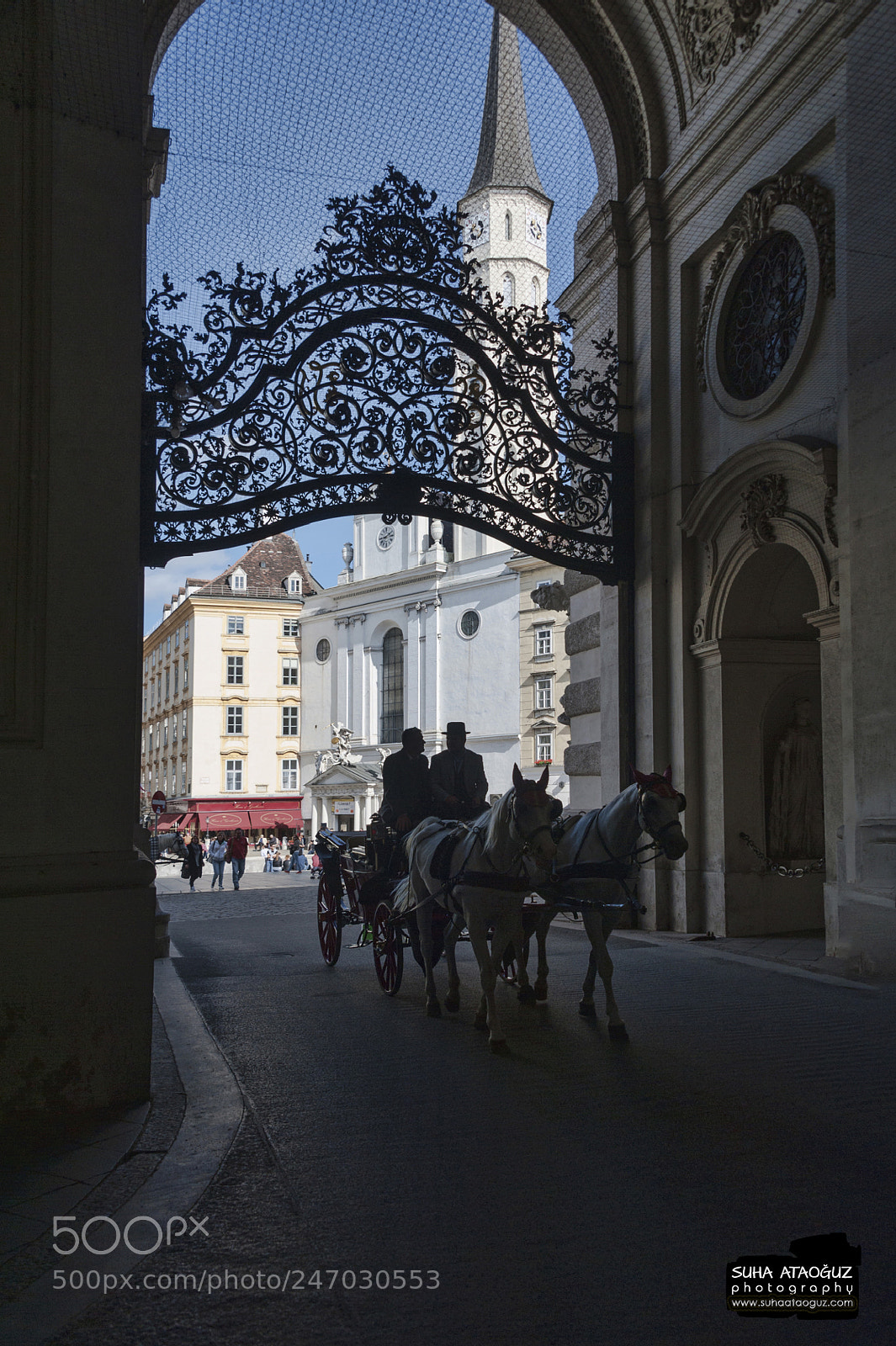 Nikon D700 sample photo. From vienna photography