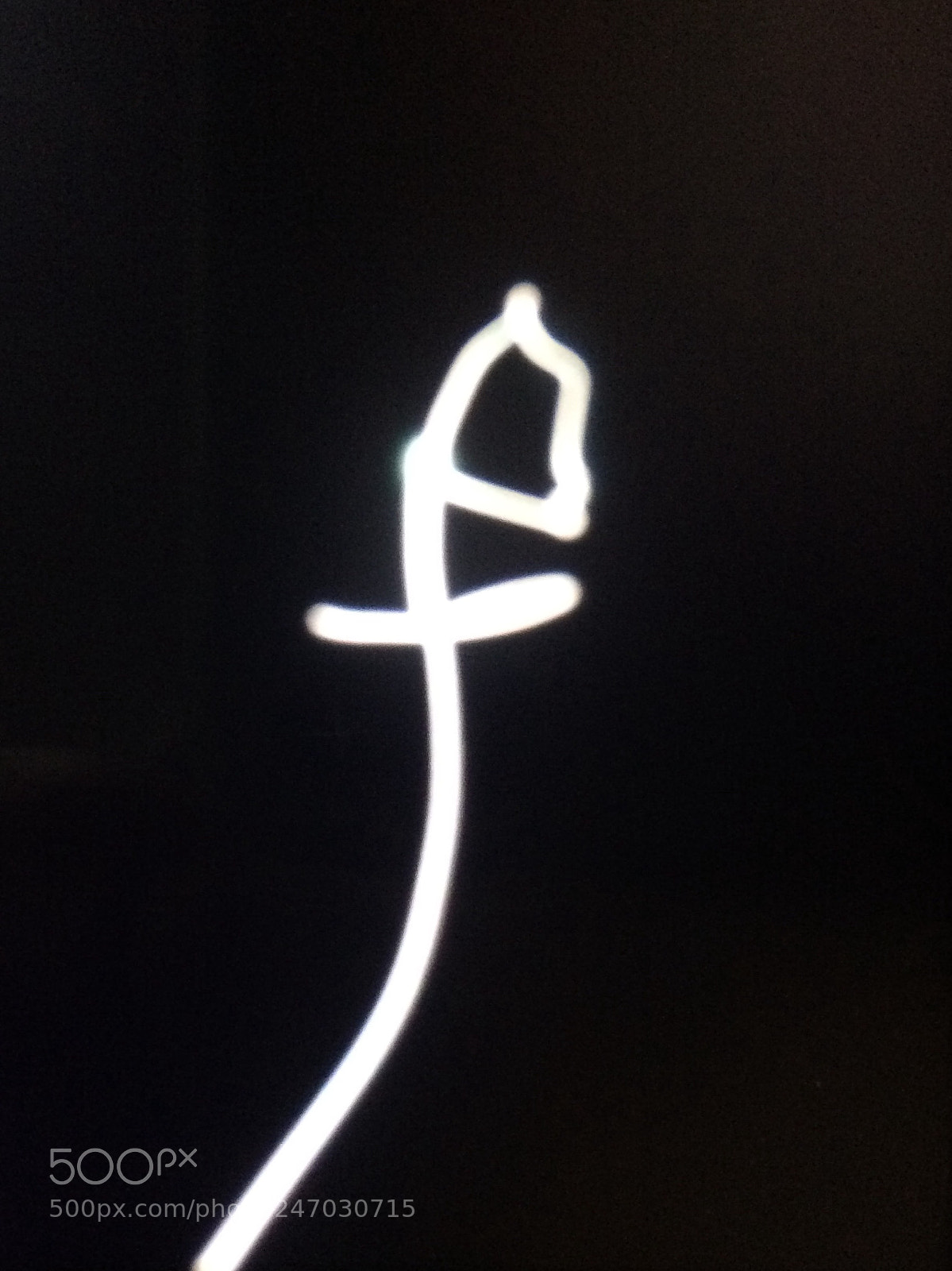 Apple iPhone 5s sample photo. Flower with light photography