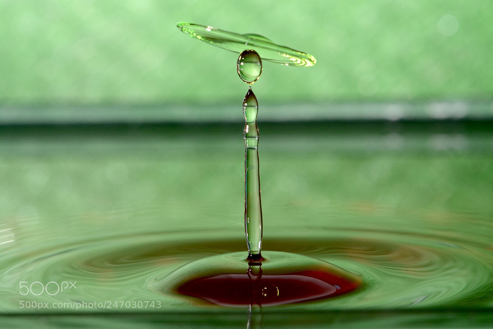 Nikon D5200 sample photo. Green shelter photography