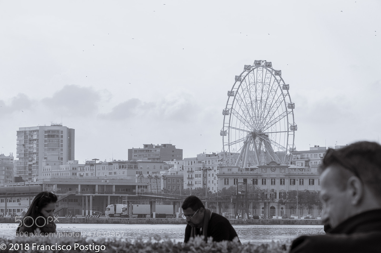 Nikon D5000 sample photo. The ferris wheel photography