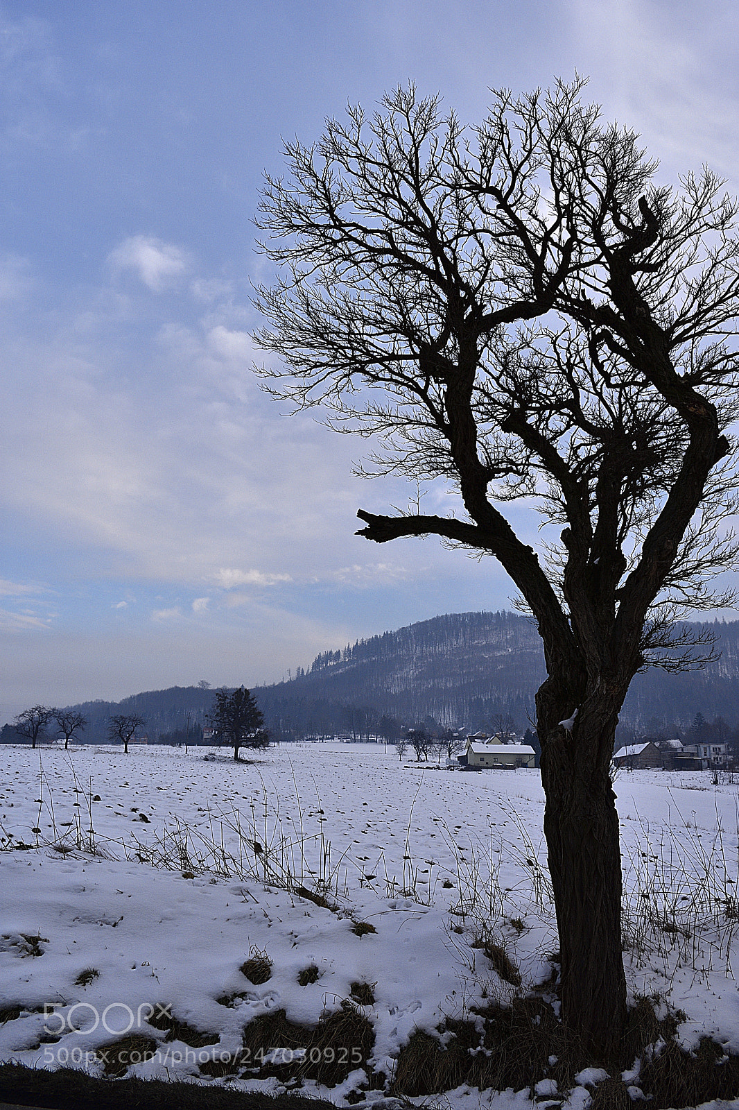 Nikon D3400 sample photo. Wuthering heights photography