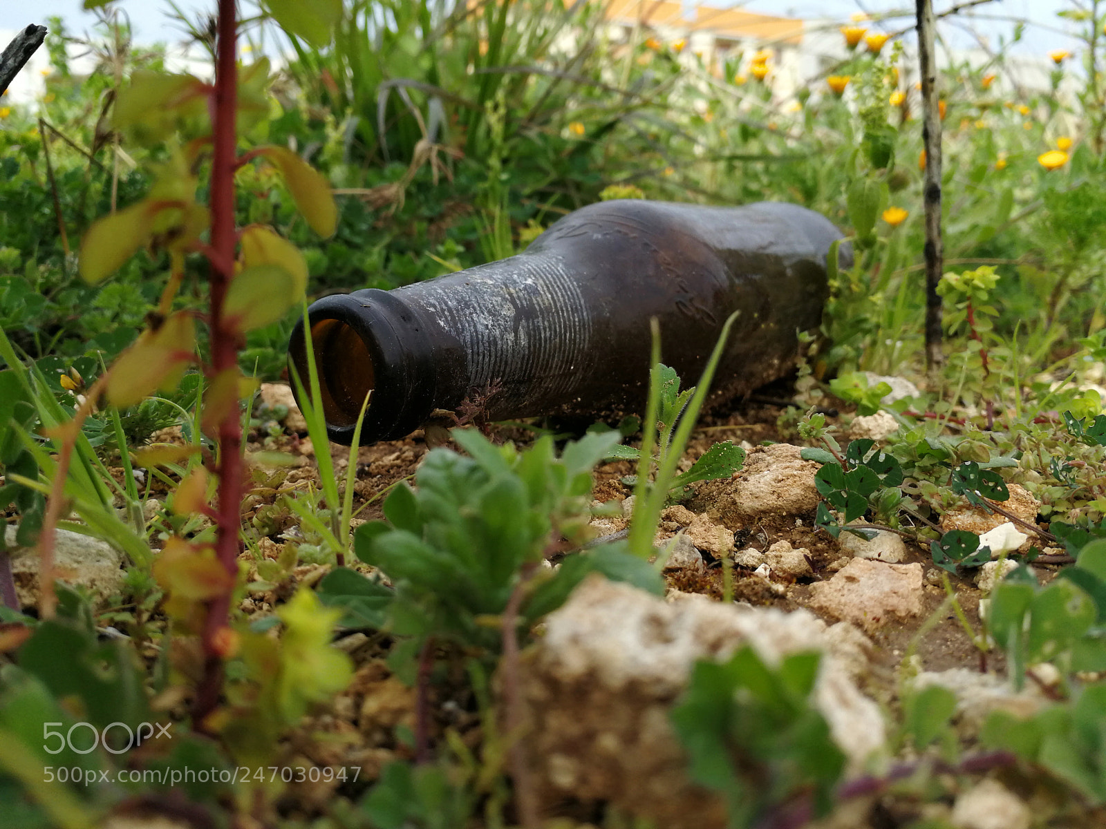 HUAWEI P10 sample photo. Little-big consequences photography