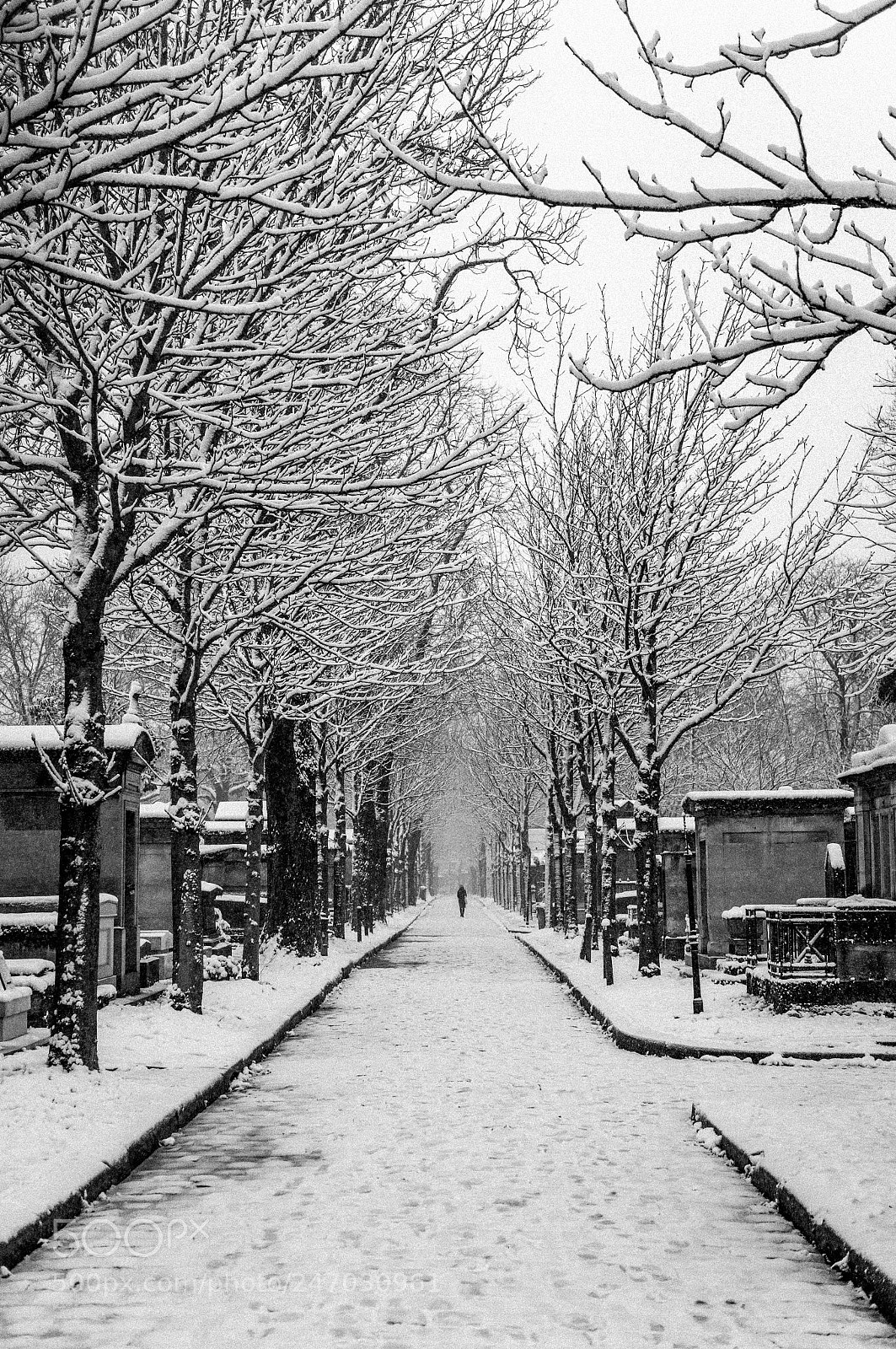 Sony Alpha NEX-5R sample photo. Cimetière enneigé photography