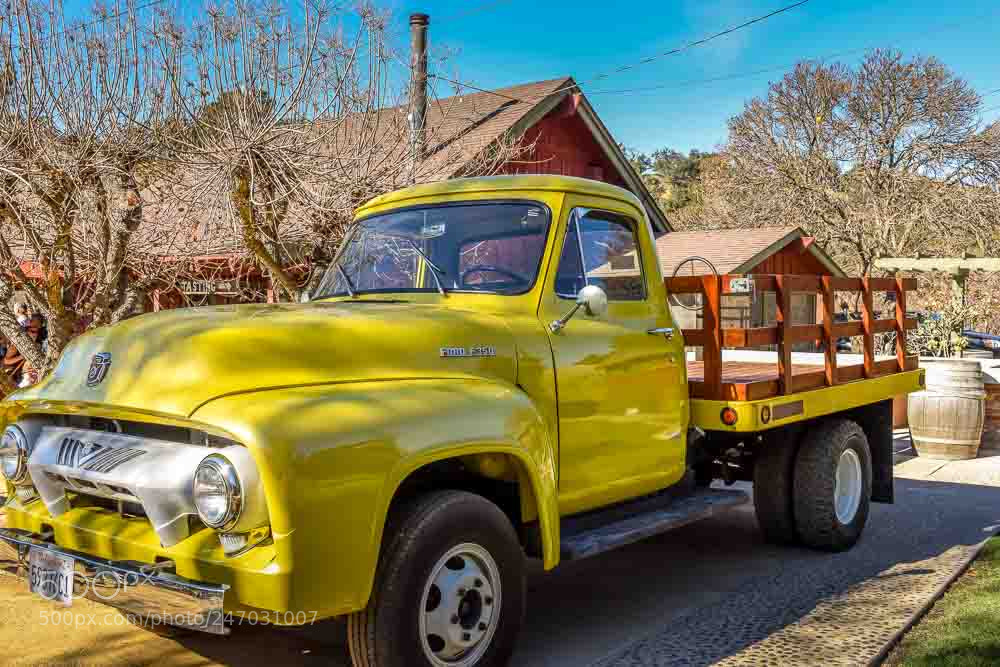 Nikon D810 sample photo. Seeing yellow! photography