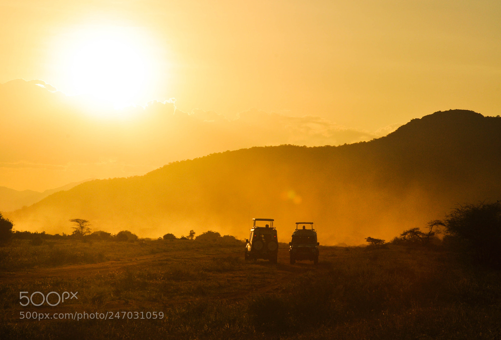 Nikon D5000 sample photo. Samburu photography