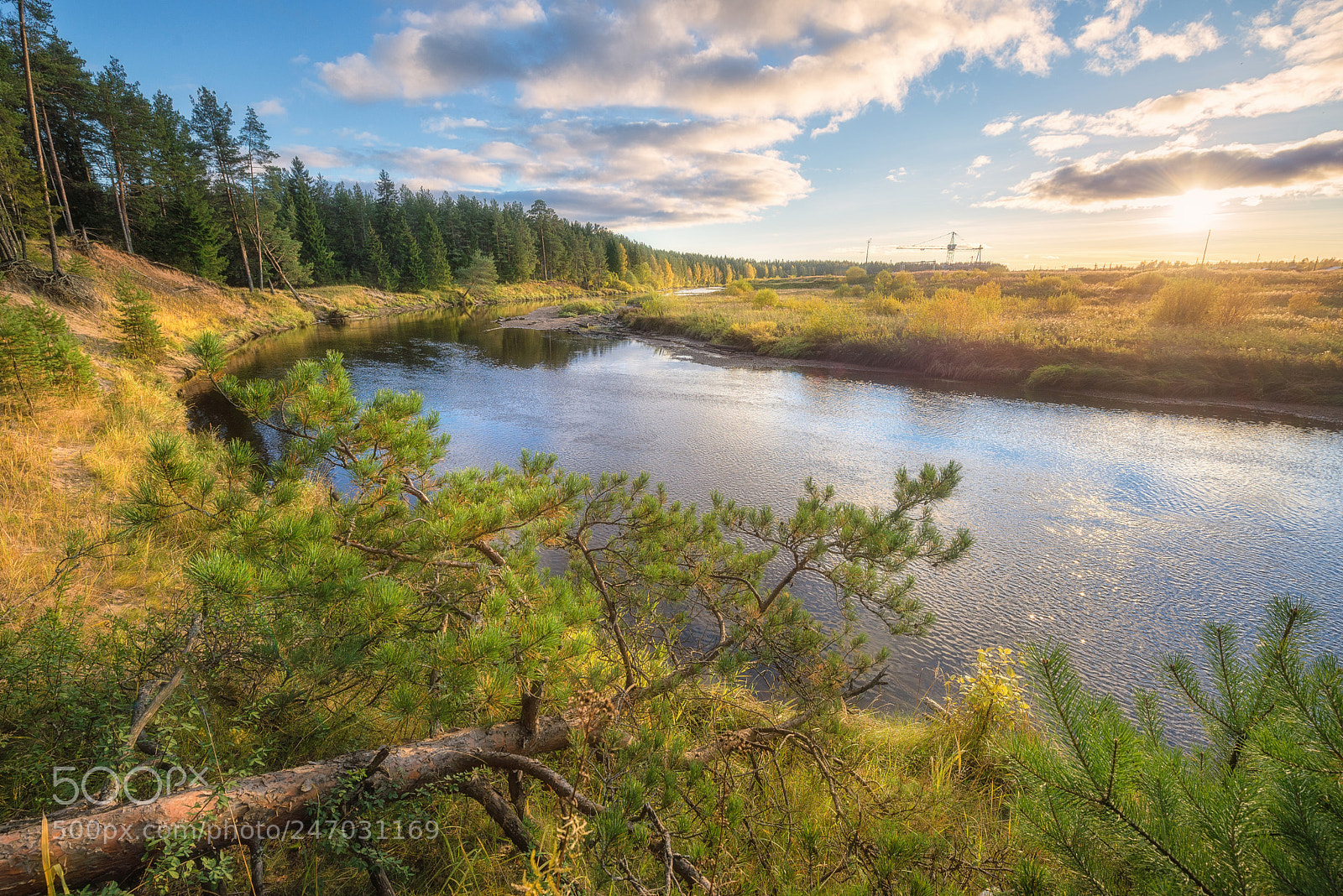 Nikon D610 sample photo. 854. on the autumn photography