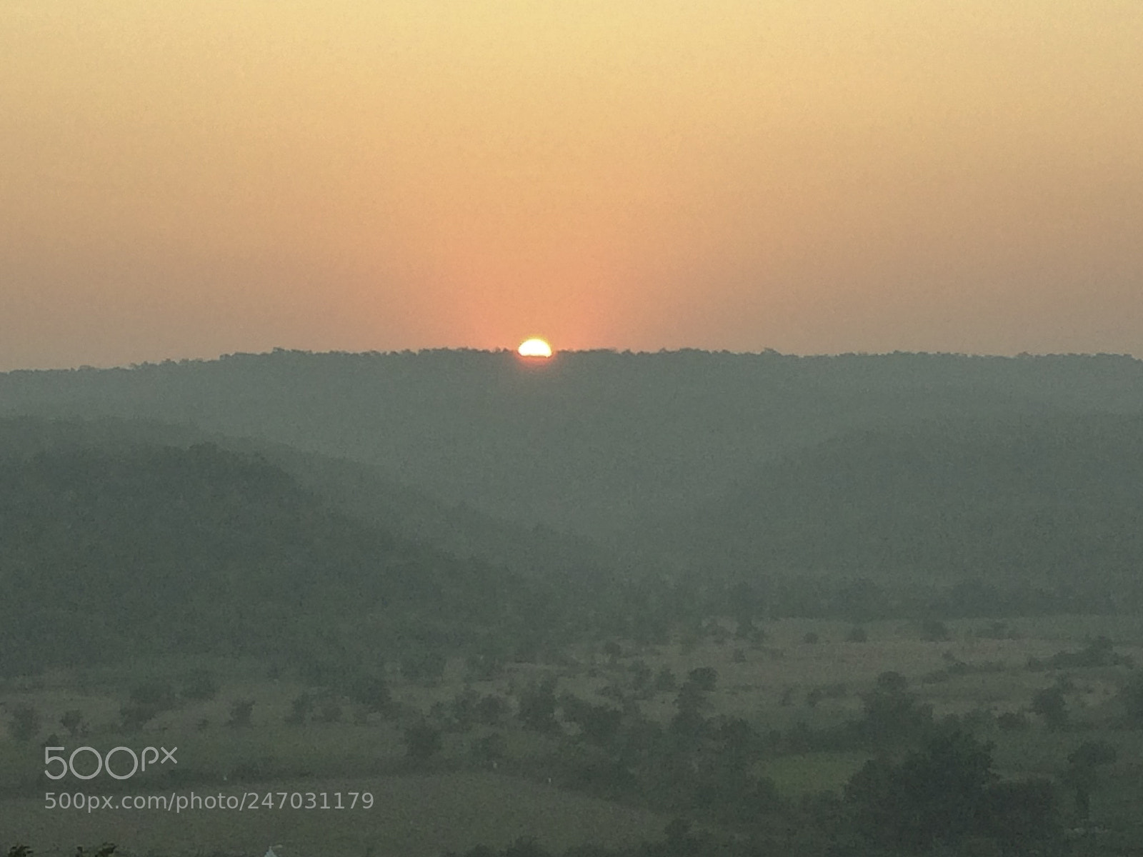 Apple iPhone 5s sample photo. At chincholi forest photography