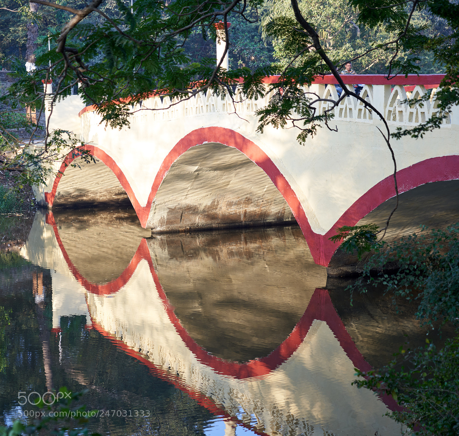 Sony a7R III sample photo. Reflection photography