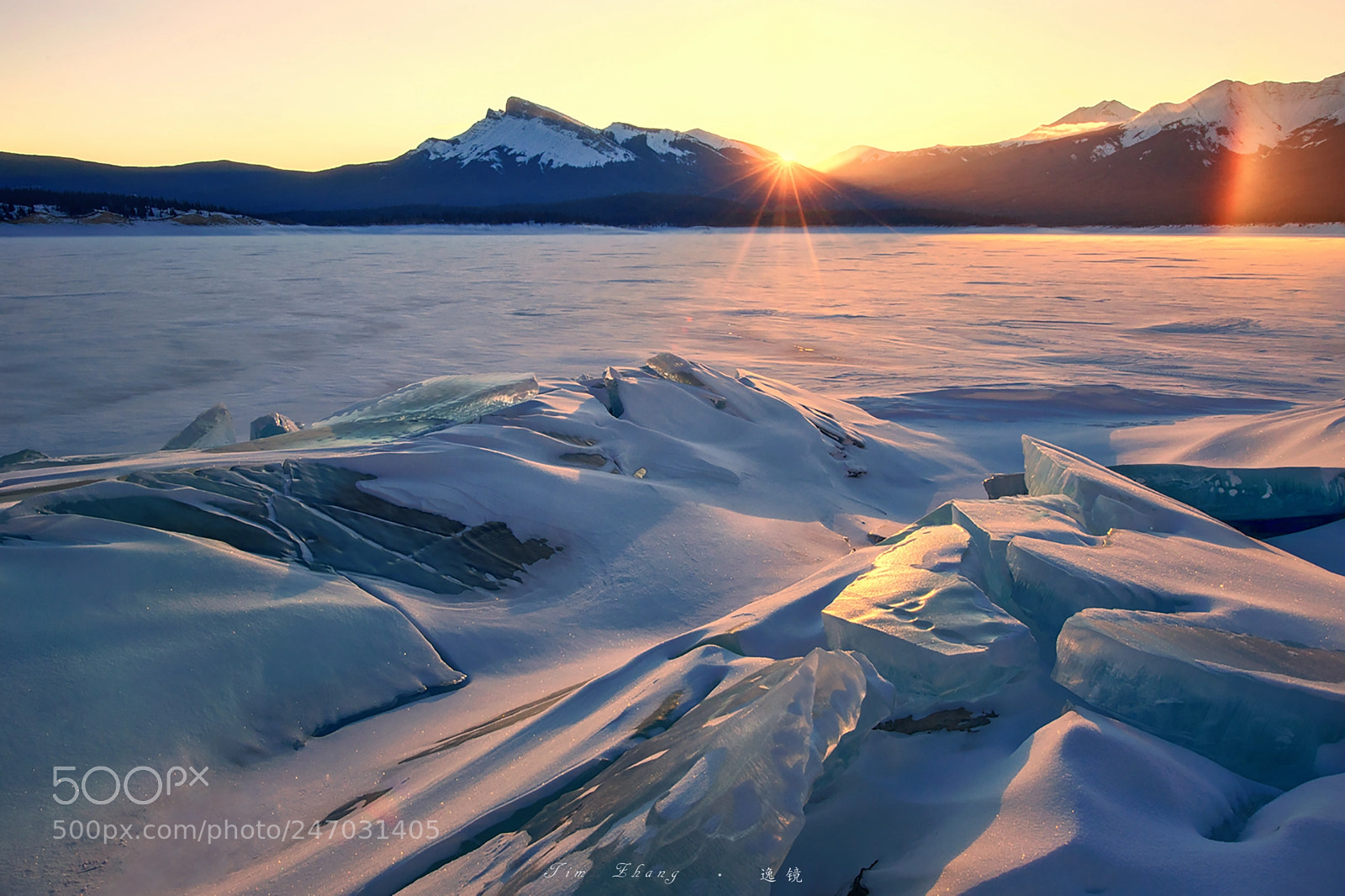 Nikon D850 sample photo. Sun and ice photography