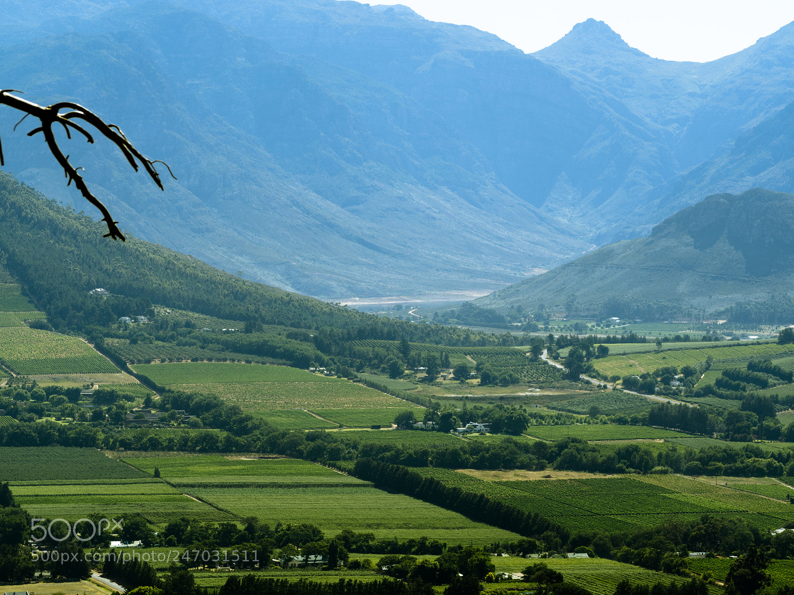Olympus OM-D E-M10 II sample photo. Franschoek photography