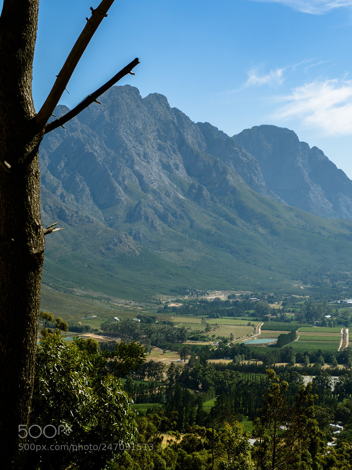 Olympus OM-D E-M10 II sample photo. Franschoek #2 photography