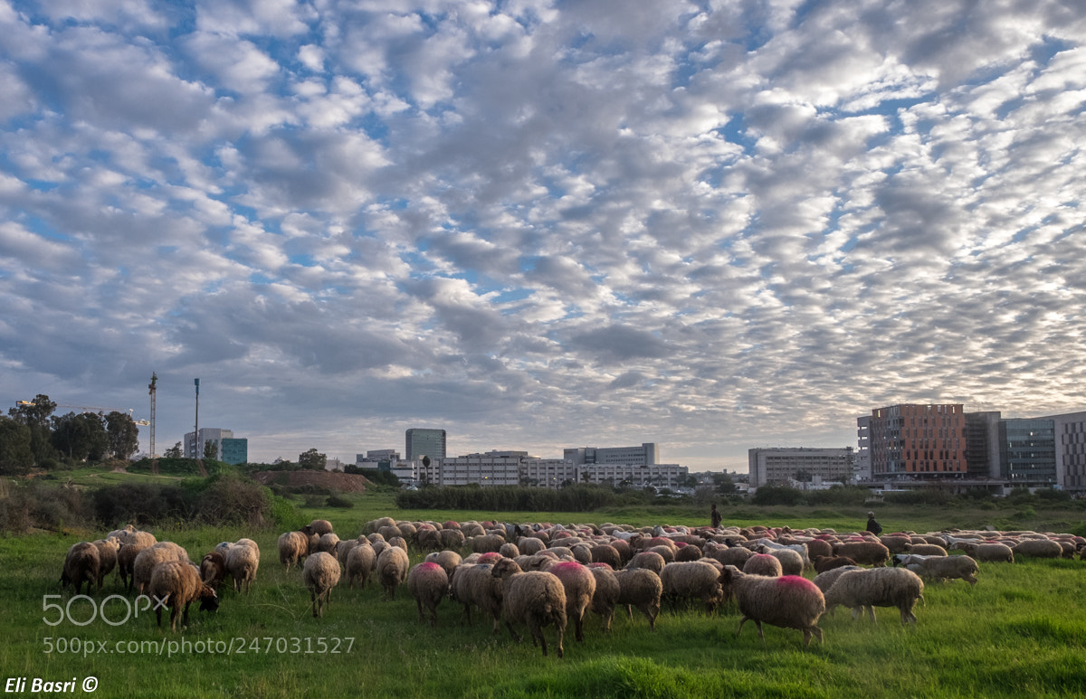 Fujifilm X-T1 sample photo. Sky photography