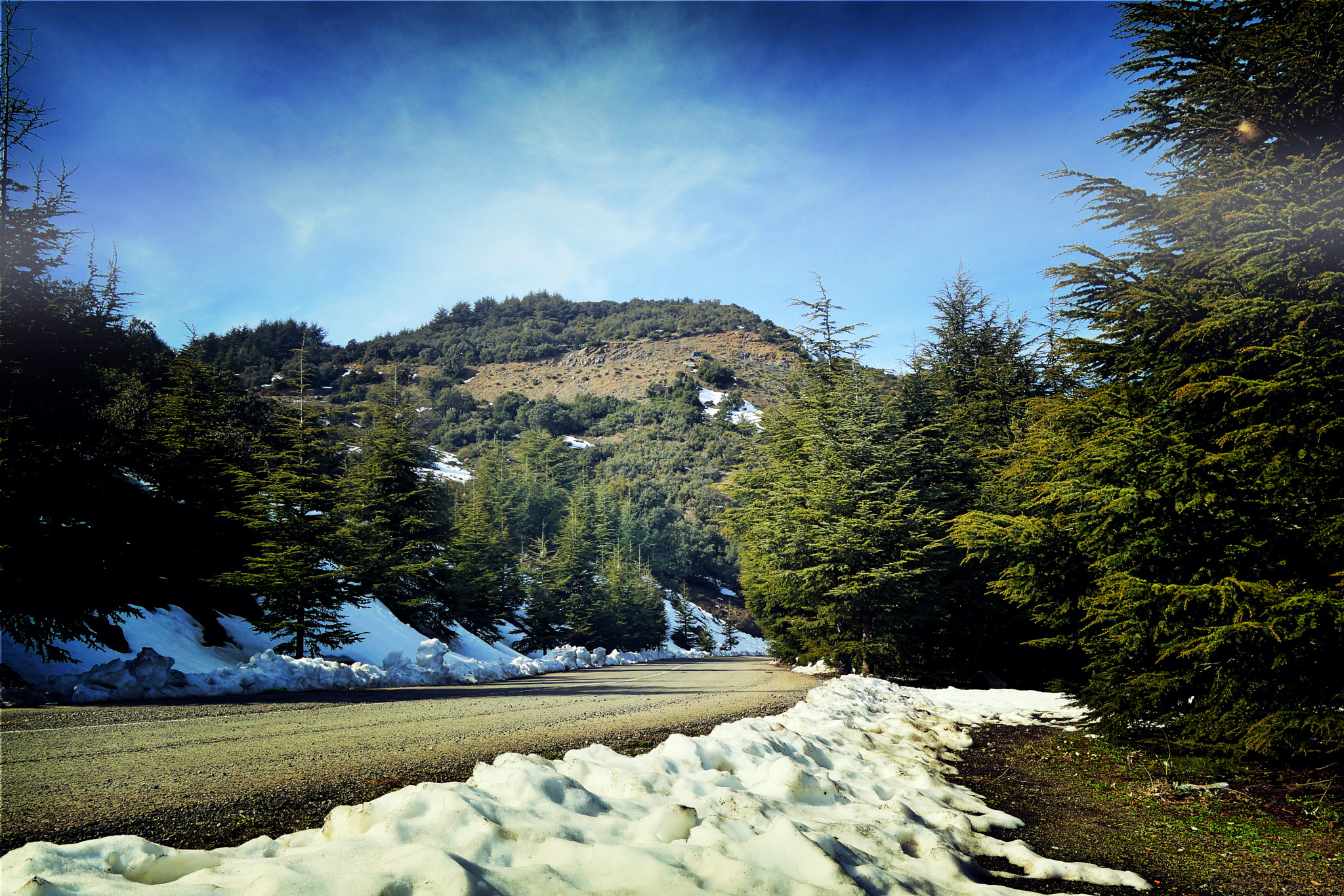 Sony DT 18-250mm F3.5-6.3 sample photo. Nature photography