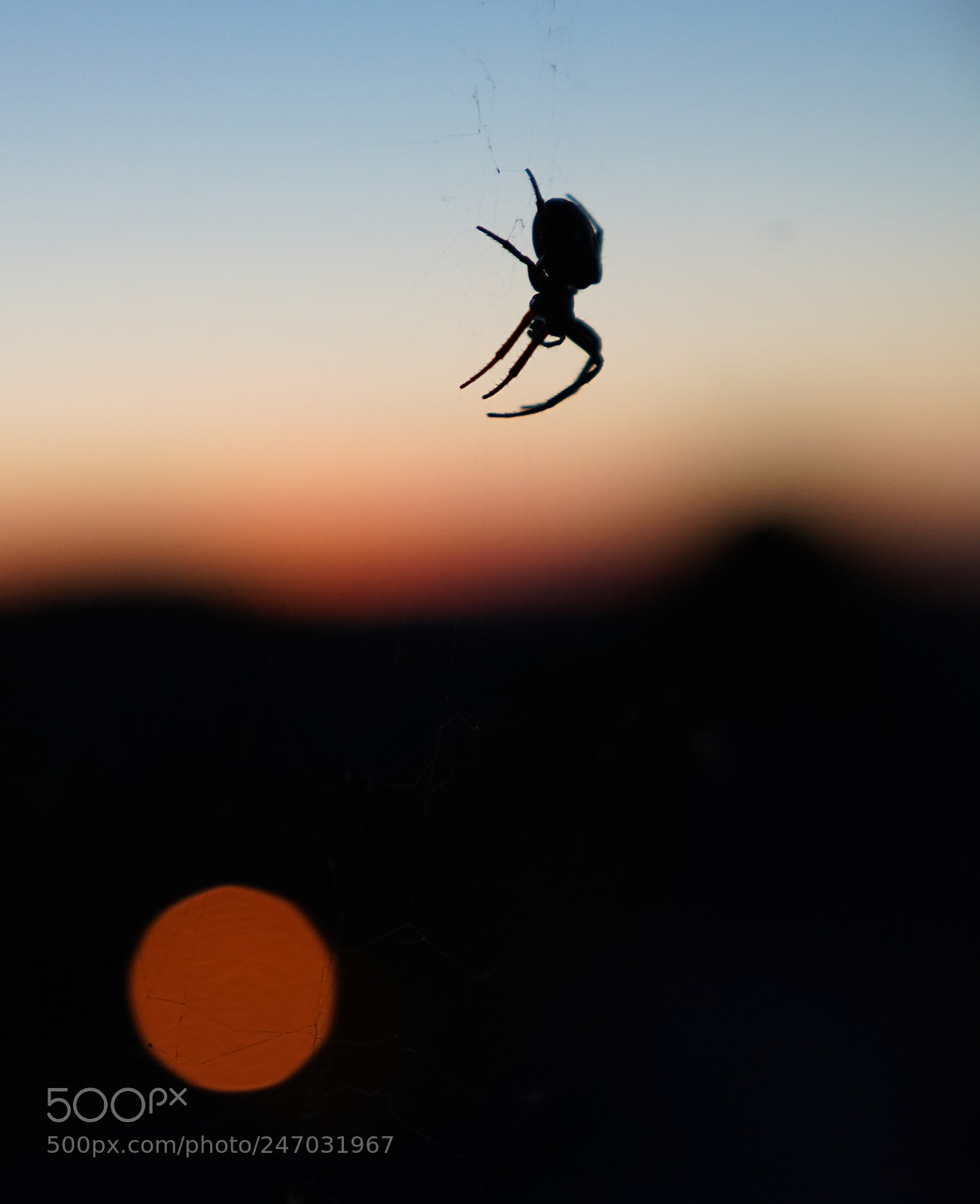 Sony a9 sample photo. Ch st sonyaspider photography
