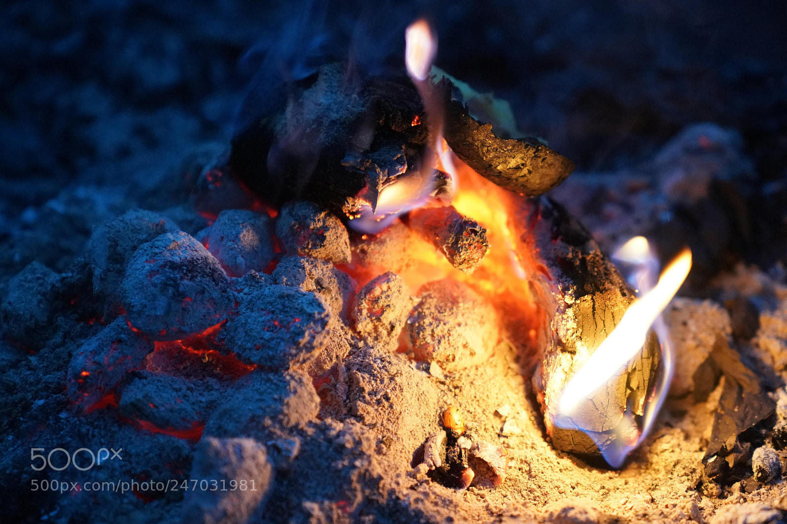 Sony a9 sample photo. Ch fires photography