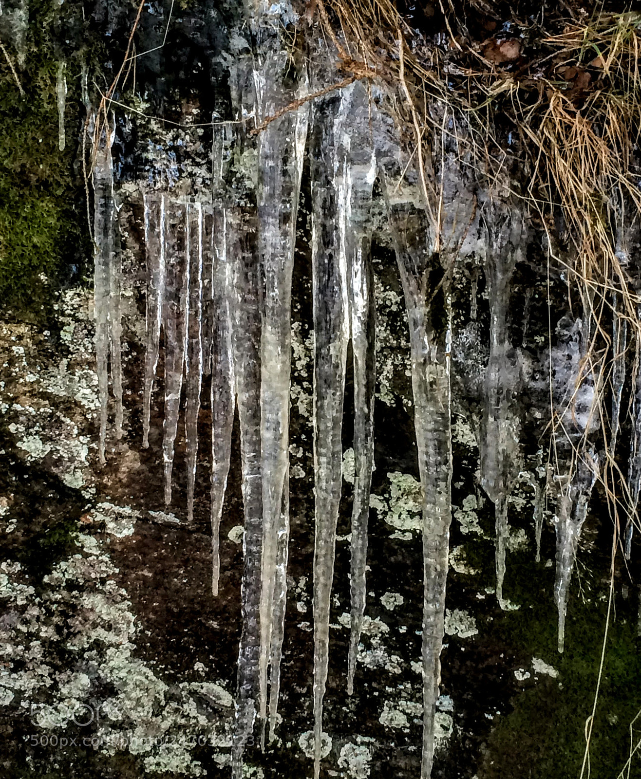 Apple iPhone 5s sample photo. Frozen photography